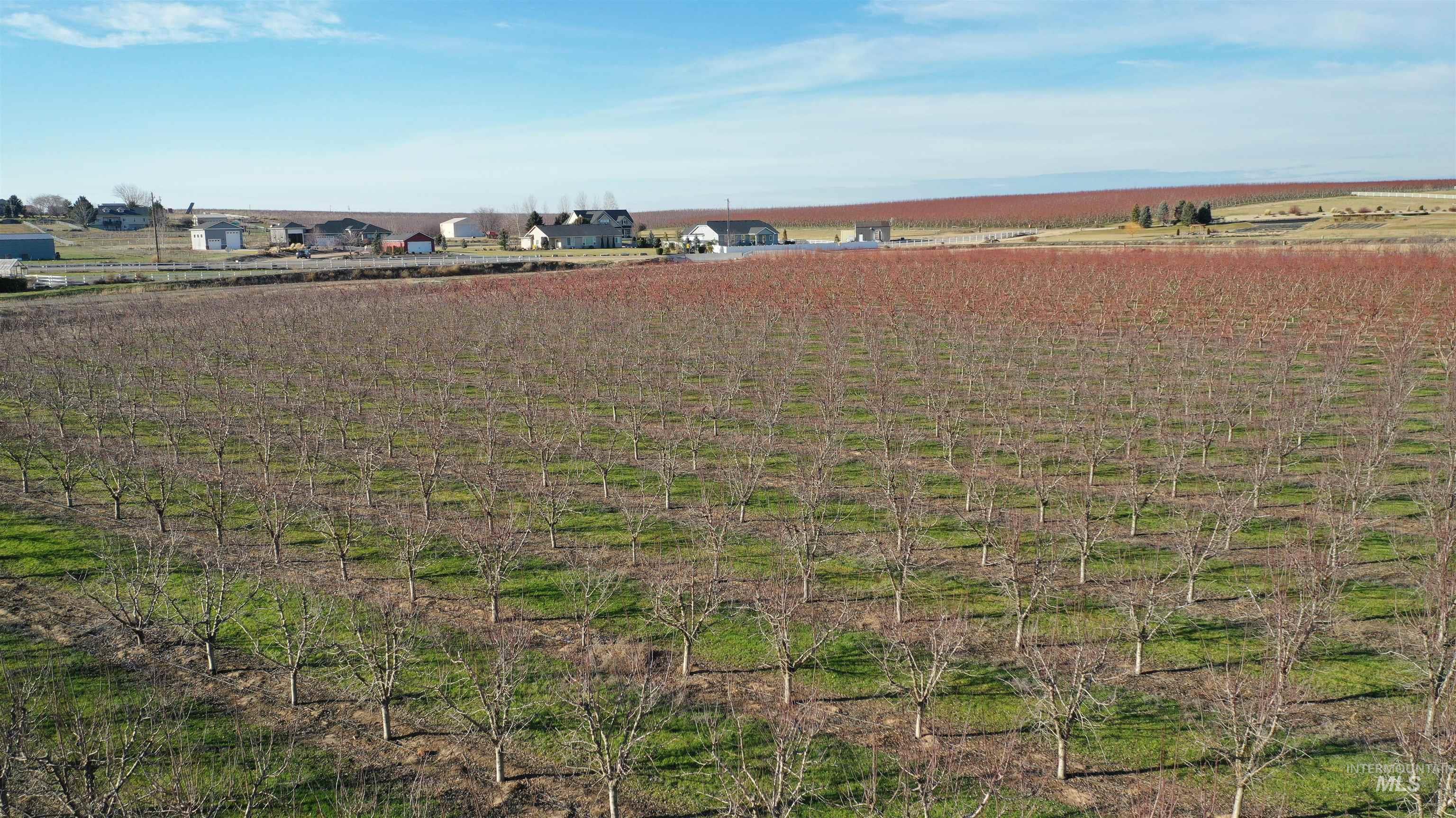 View of yard with agricultural plots and a view of rural / pastoral area