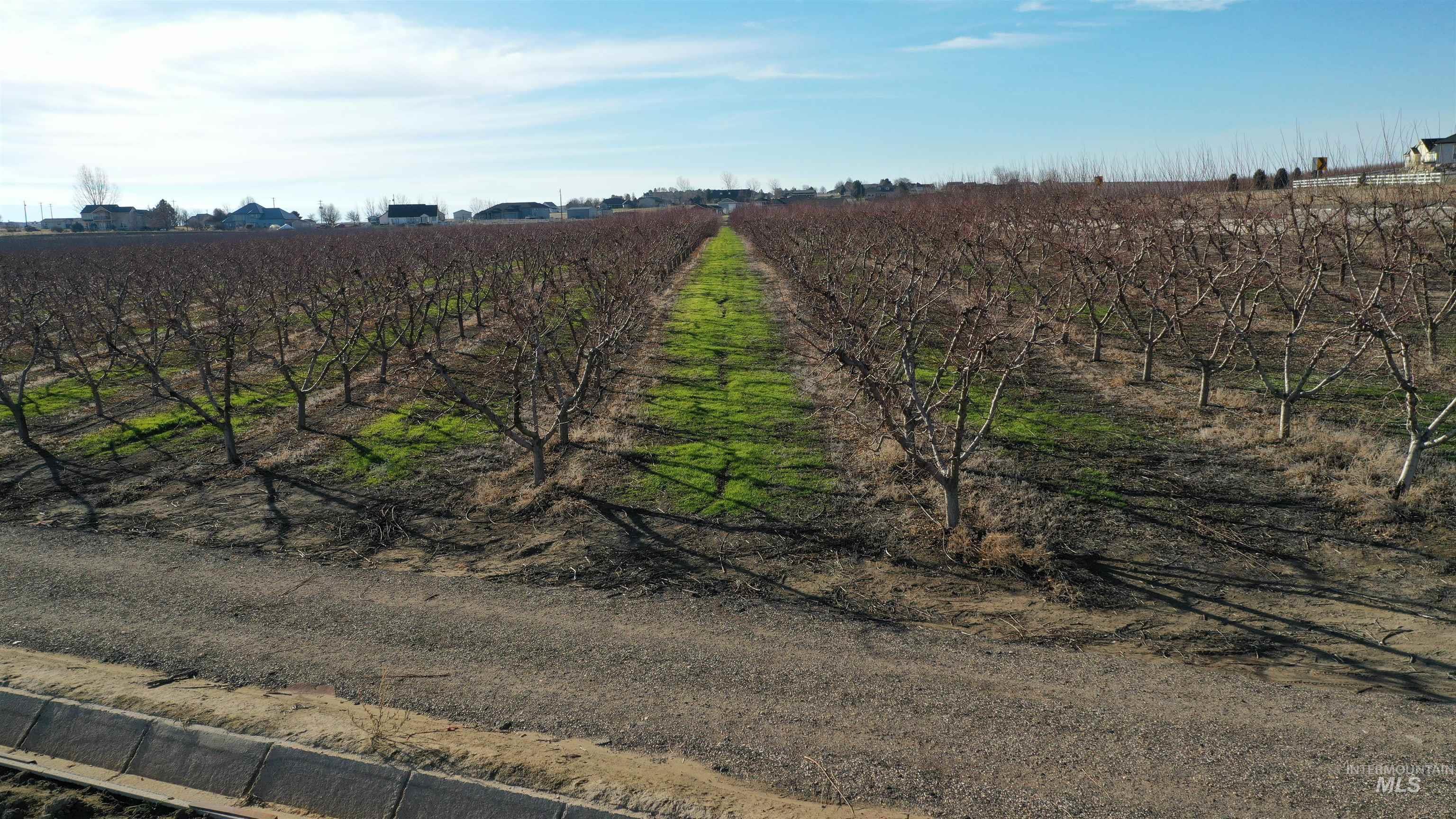 View of yard featuring agricultural plots and a view of rural / pastoral area