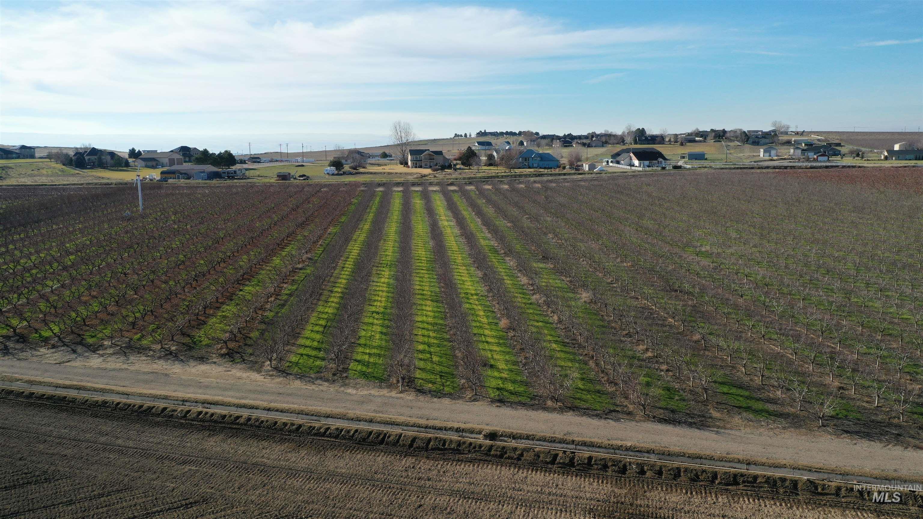 View of rural area featuring abundant farmland