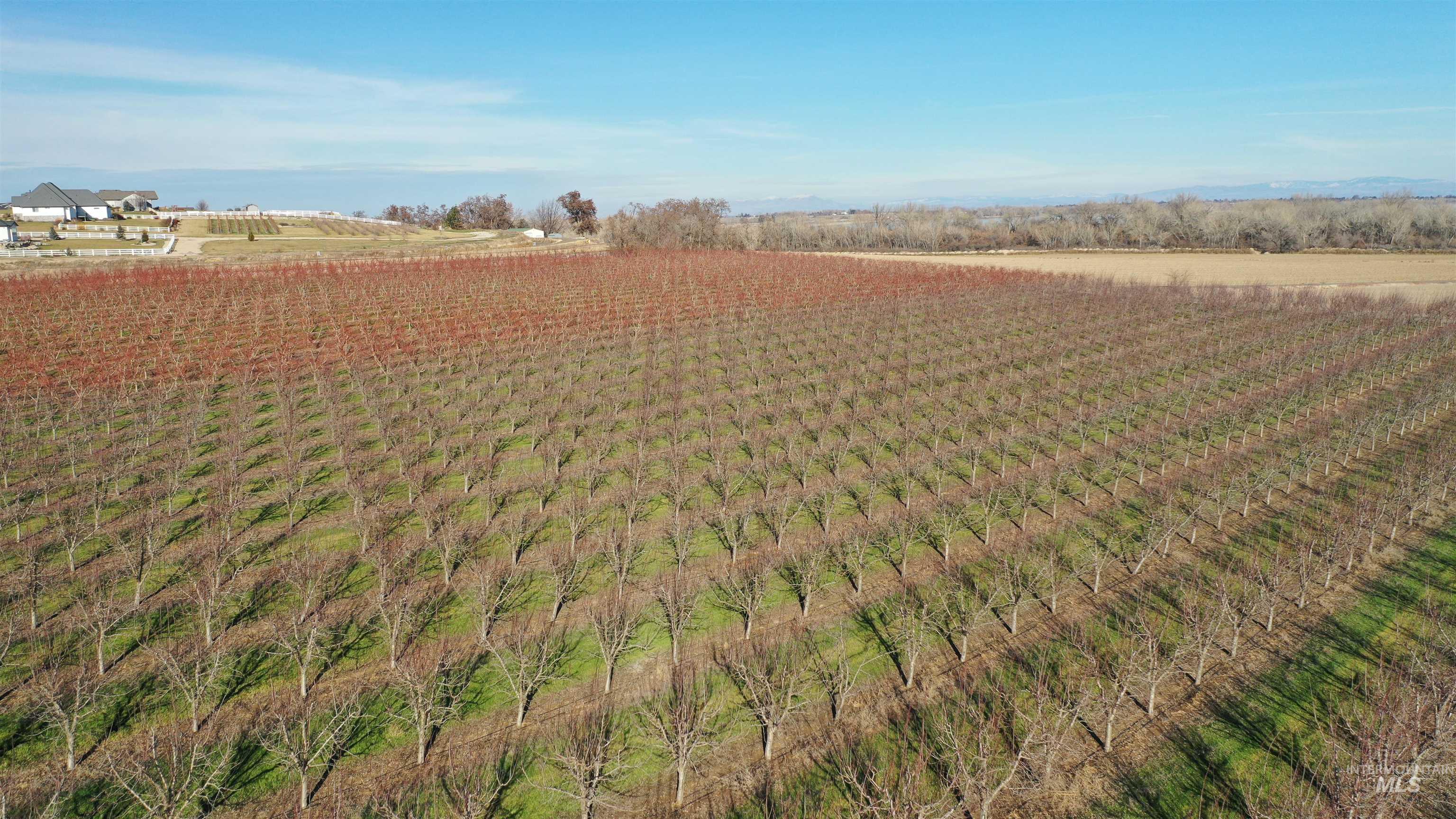 View of yard featuring agricultural plots and a view of countryside