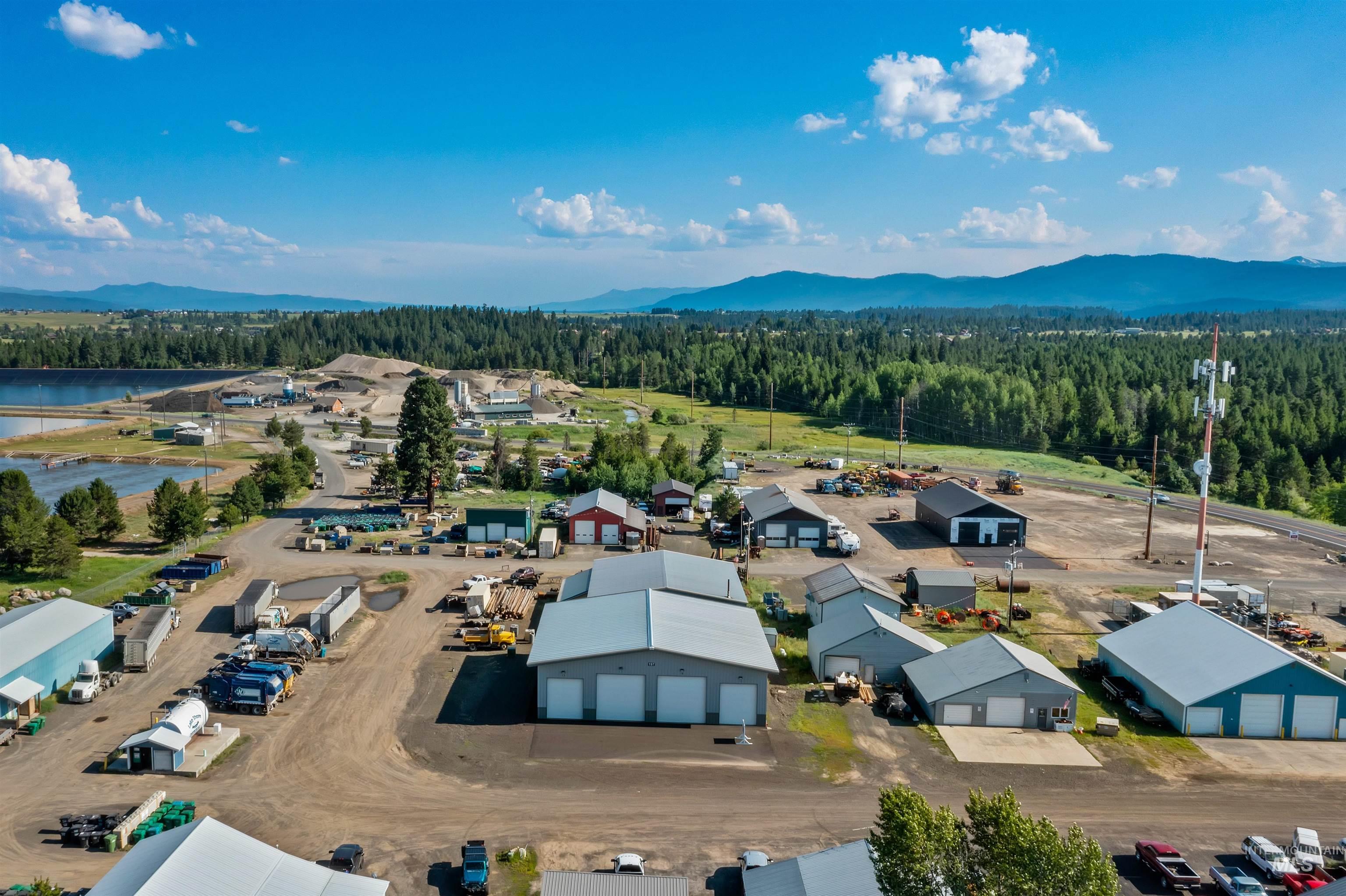 Bird's eye view of a mountain backdrop and a forest