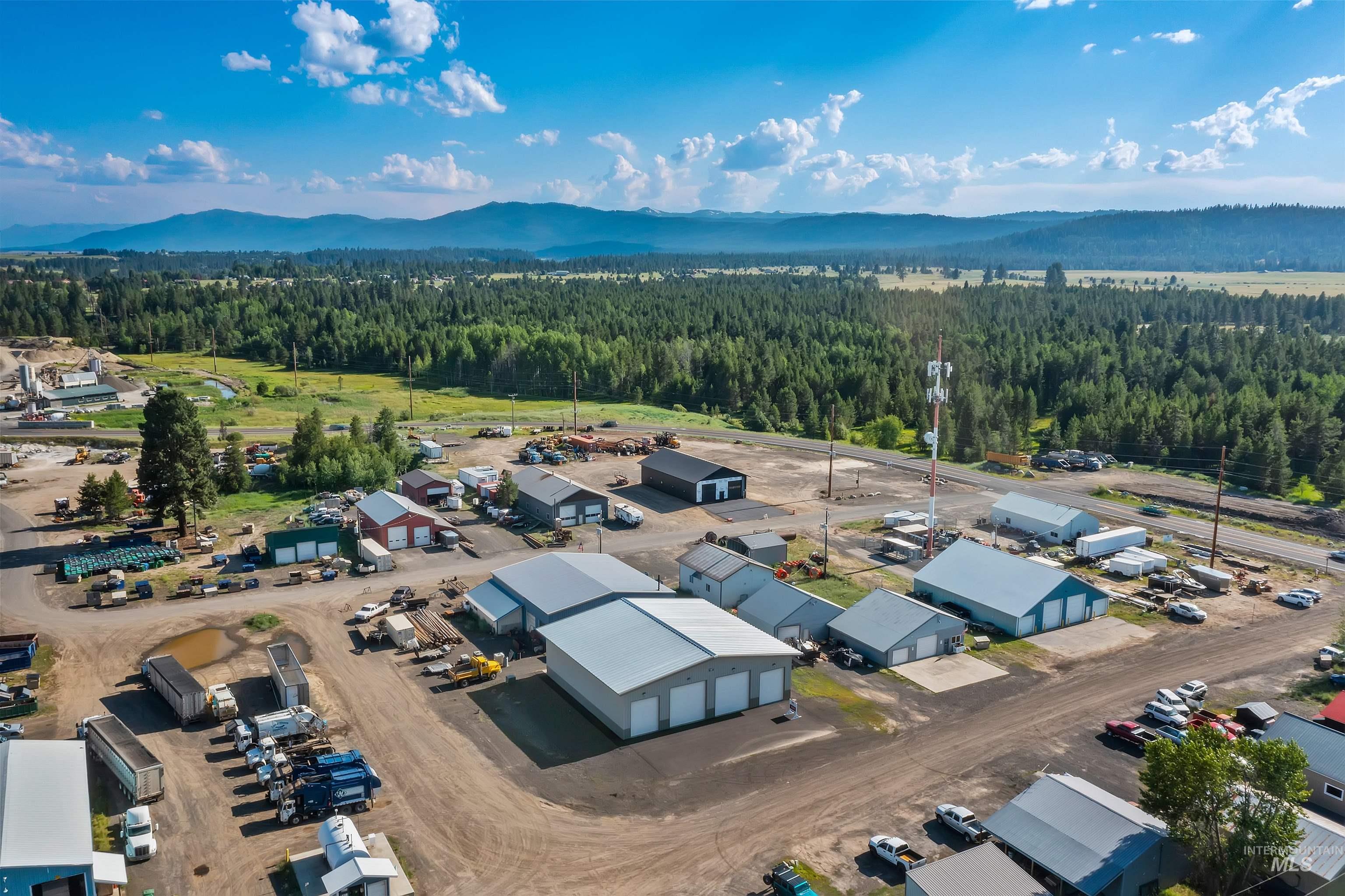 Bird's eye view of a forest and mountains