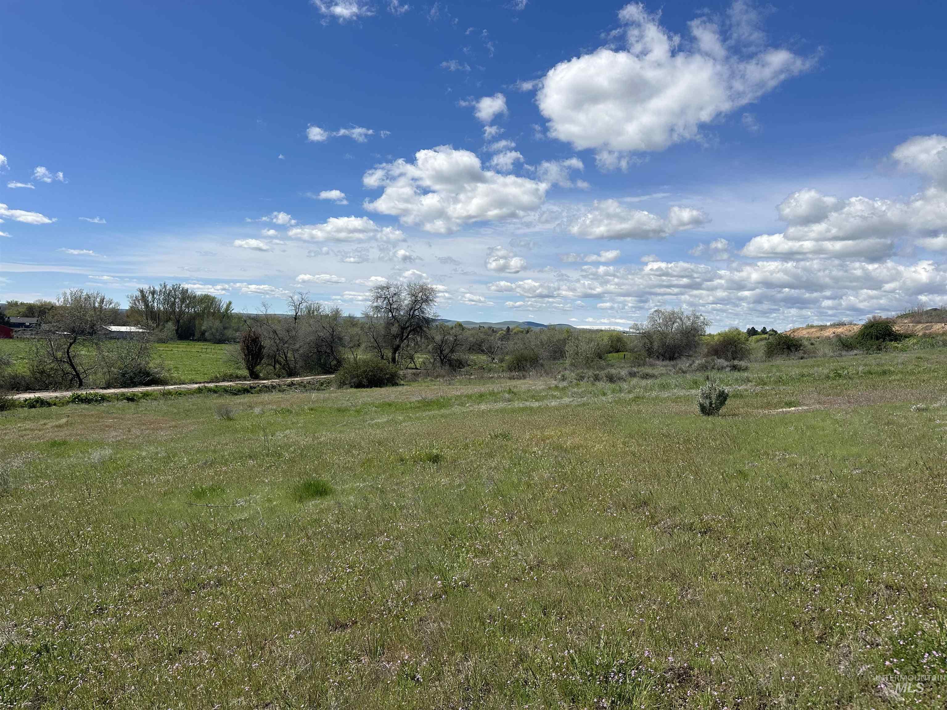 View of green lawn with a view of rural / pastoral area