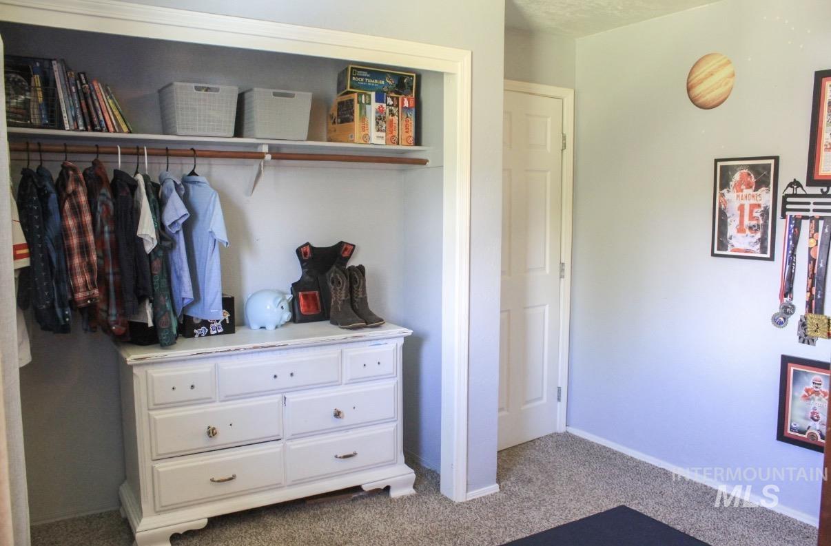 Built-in closet system featuring a top shelf, hanging rod, and textured carpeting