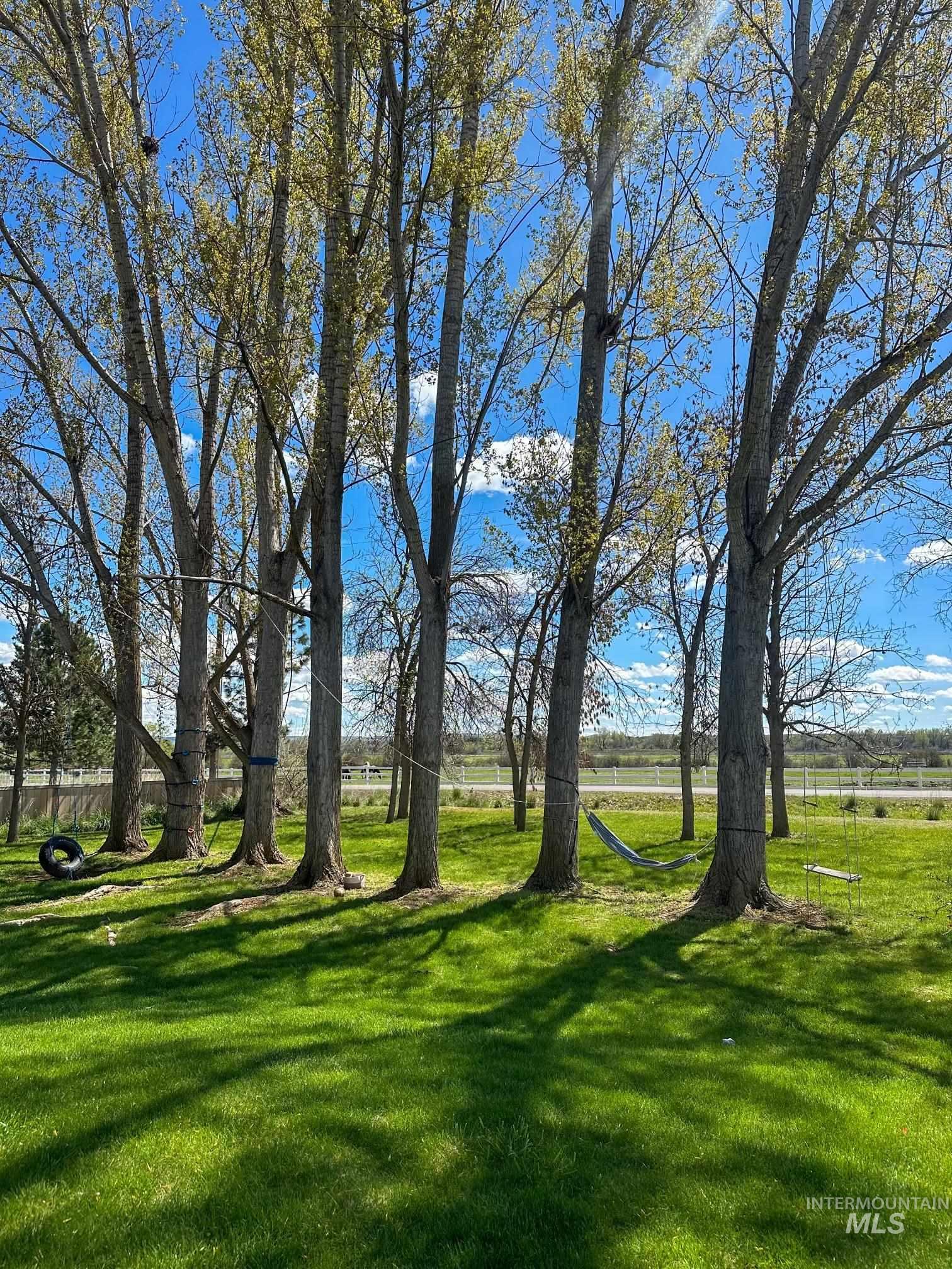 View of green lawn