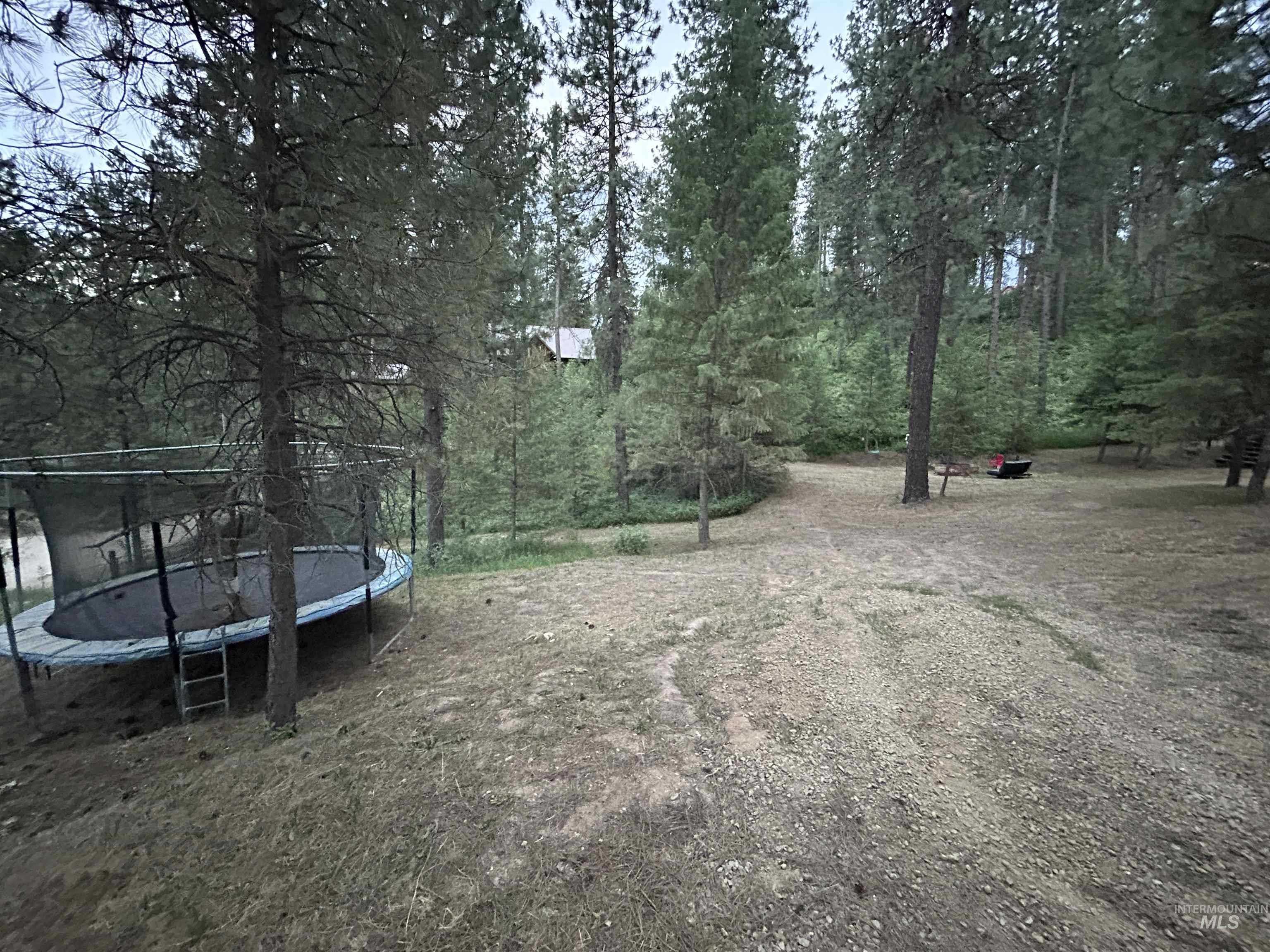 View of yard with a trampoline and a forest view