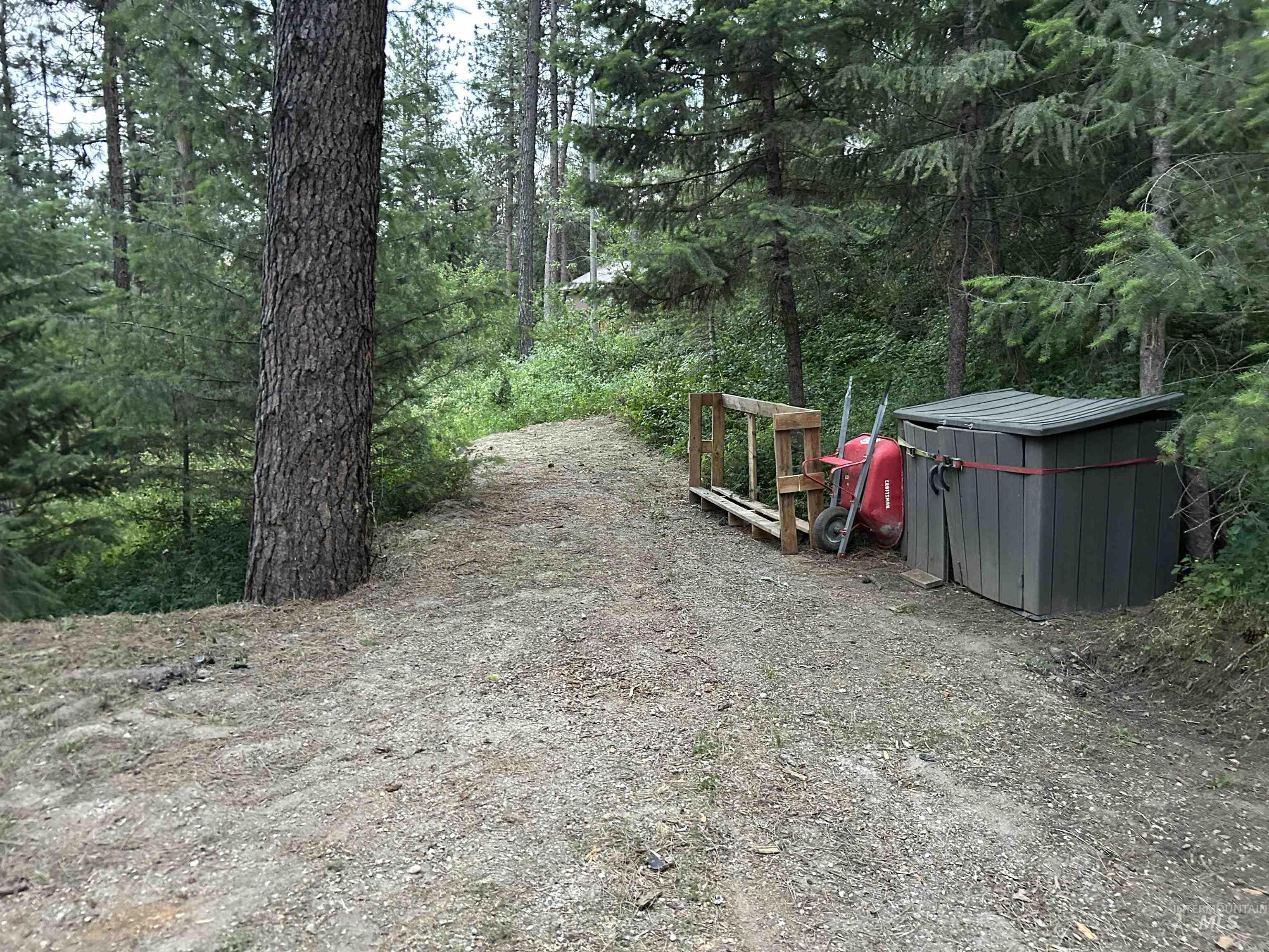 View of yard featuring a forest view and a shed