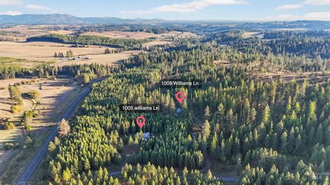 Photo of 1005 Williams Ln, Deary, ID 83823 (MLS # 98964598)