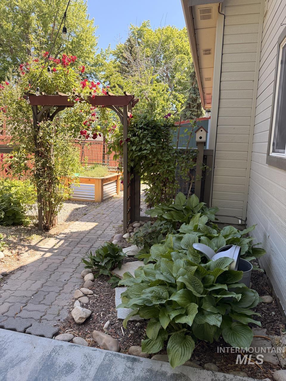 Paved pathway leading to a garden archway adorned with climbing roses