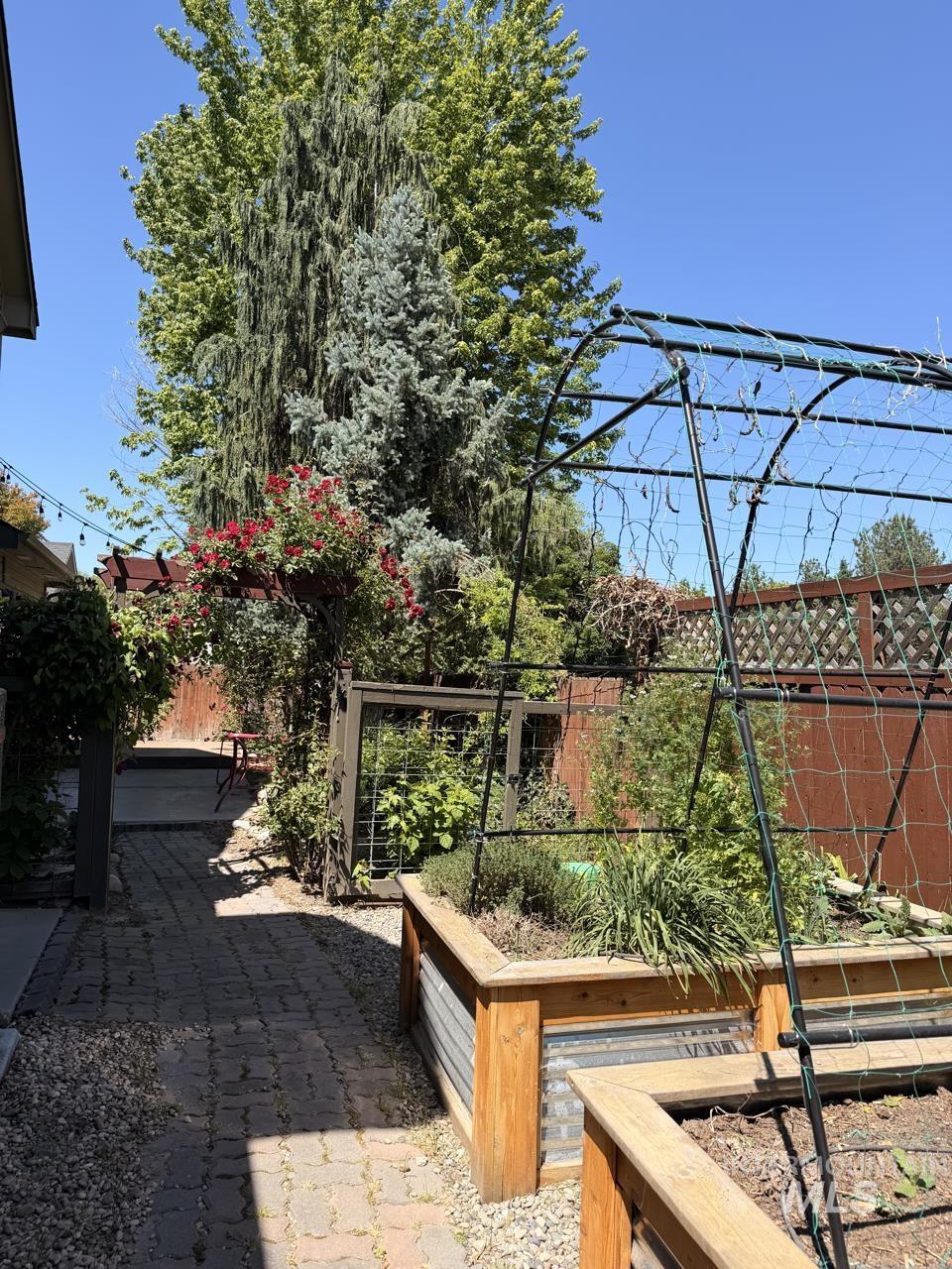 Landscaped outdoor space featuring raised garden beds with wood and corrugated metal construction