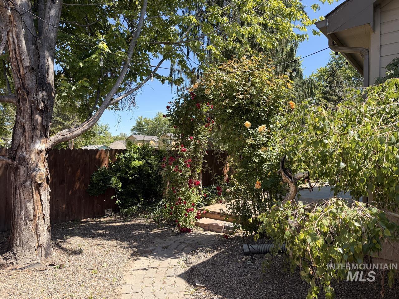 Mature trees and lush rose bushes frame a private backyard with a paver pathway