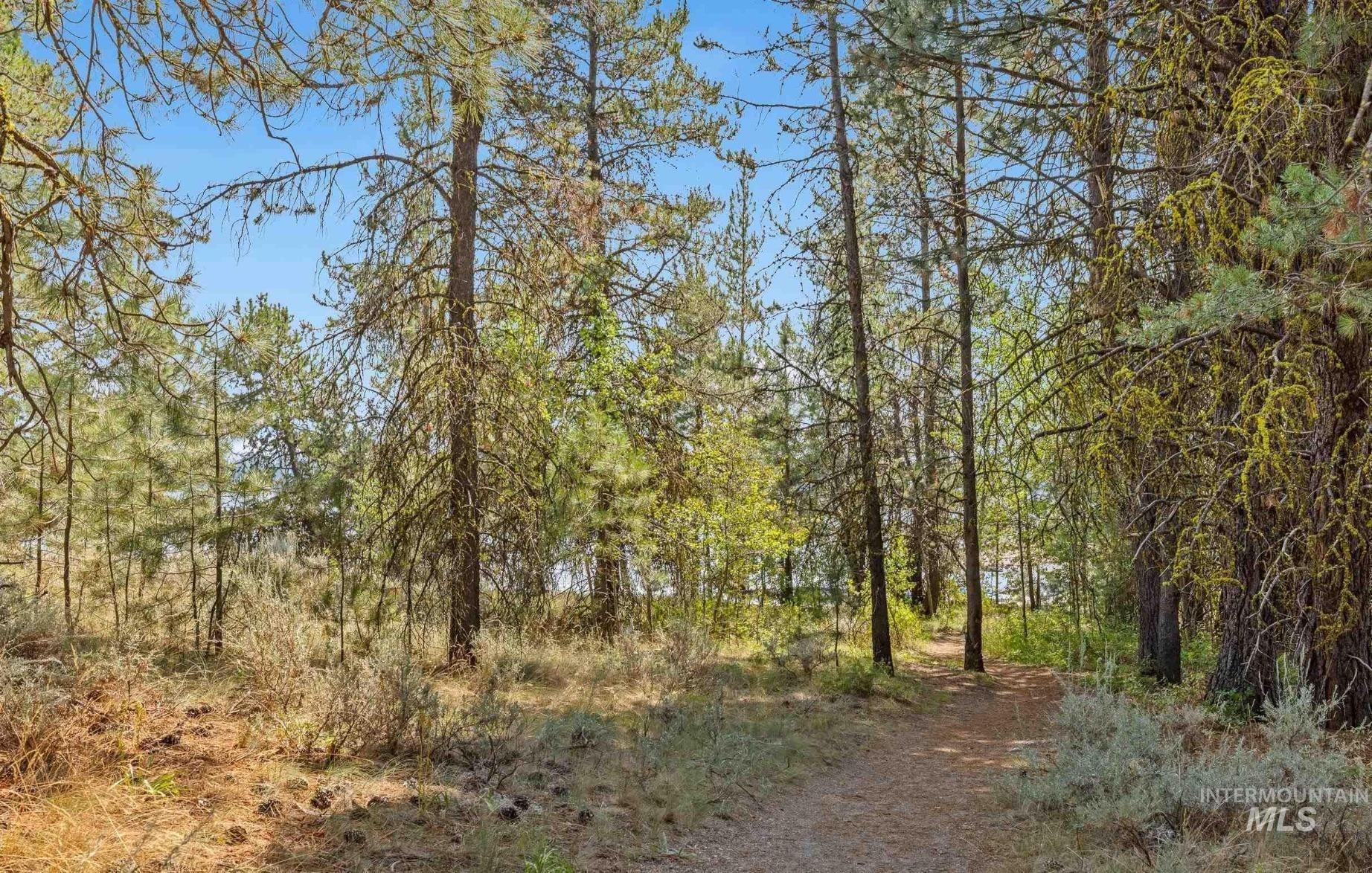 View of undeveloped land