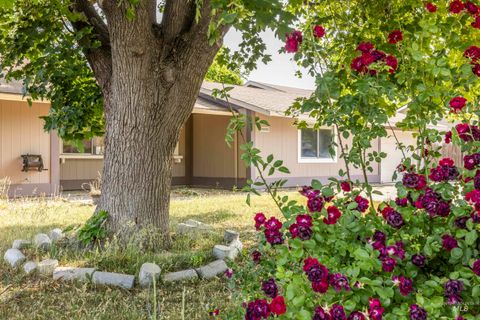 10000 W Tudor Boise ID 83704