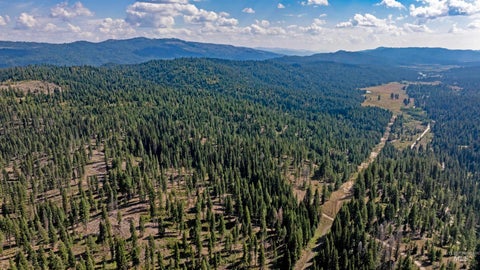 Photo of 1 High Valley Road, High Valley, ID 83611 (MLS # 98979158)