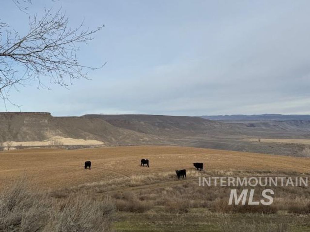 Photo of 2934 E Little Basin Rd, King Hill, ID 83633 (MLS # 98973440)