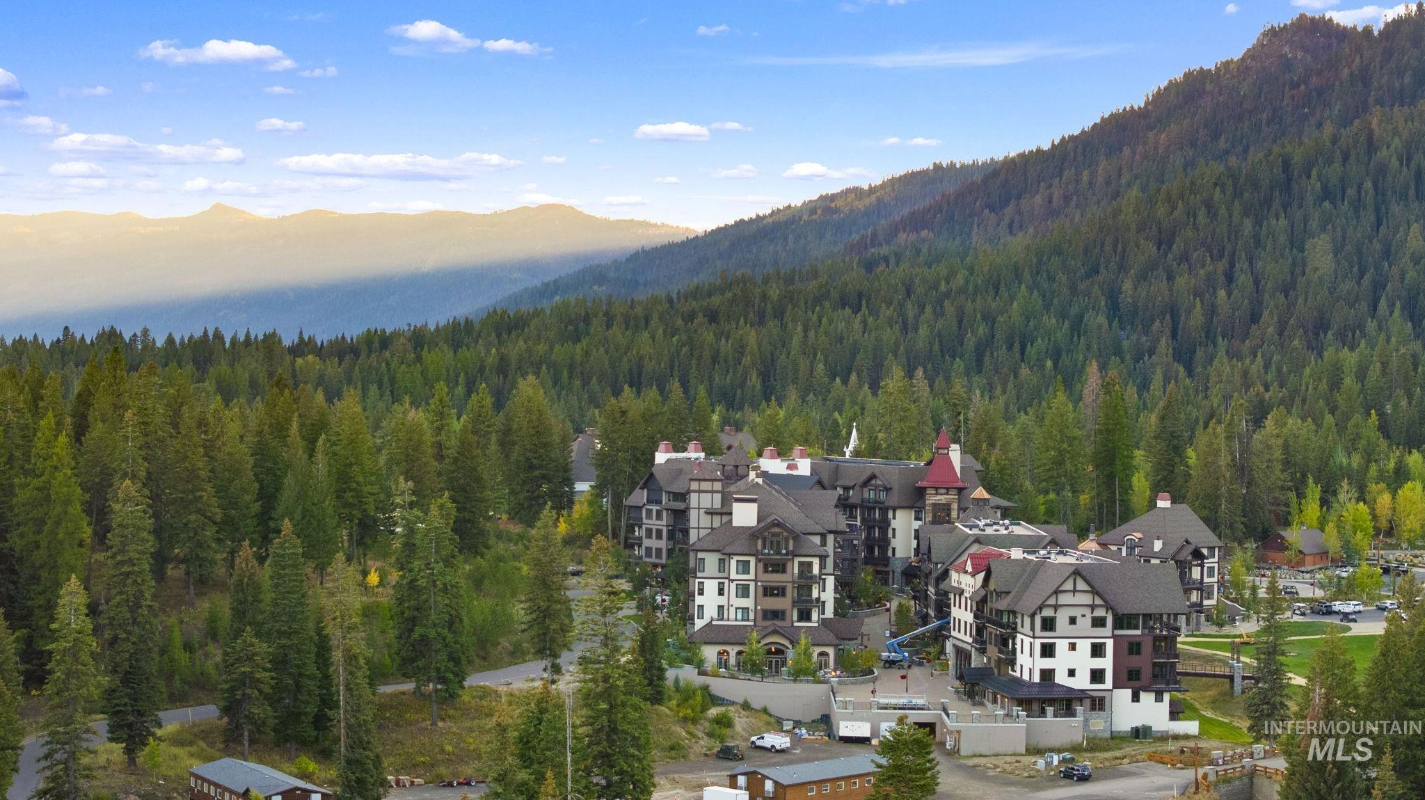 Aerial view of residential area featuring a mountainous background and a forest