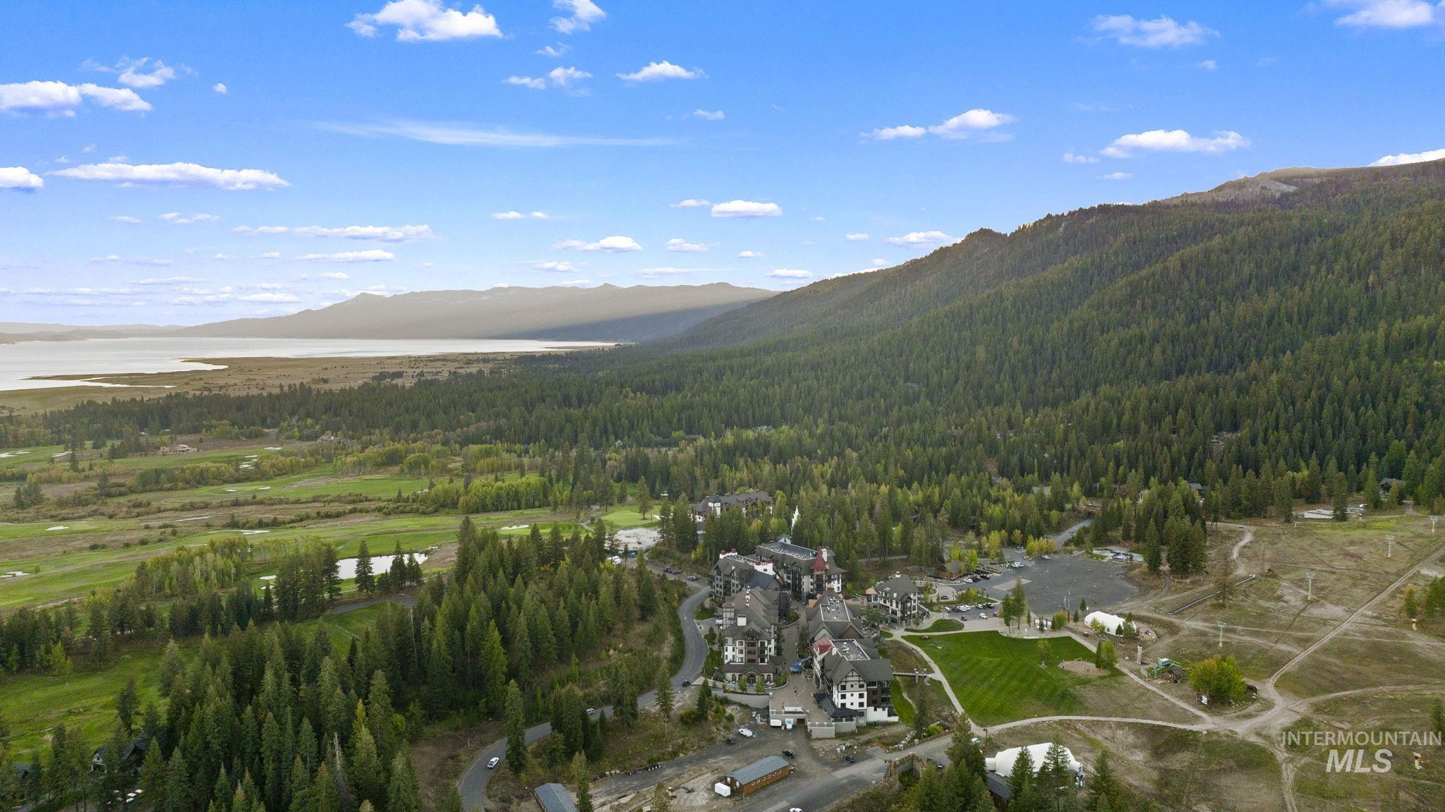 View of mountain backdrop with a forest