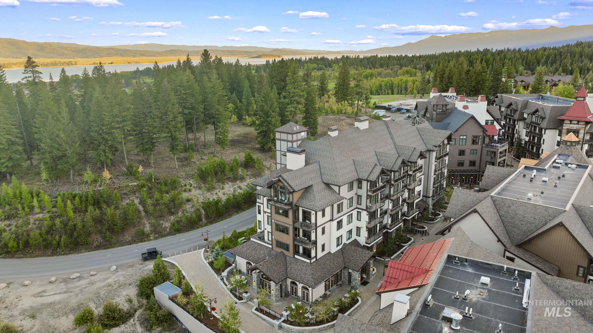 Bird's eye view of a mountainous background and a heavily wooded area
