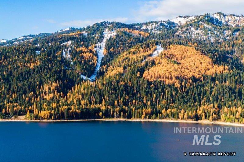 Drone / aerial view of a water and mountain view and a heavily wooded area