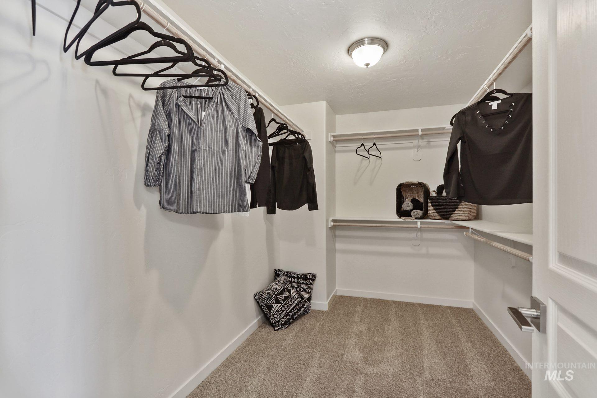 Walk in closet featuring light colored carpet