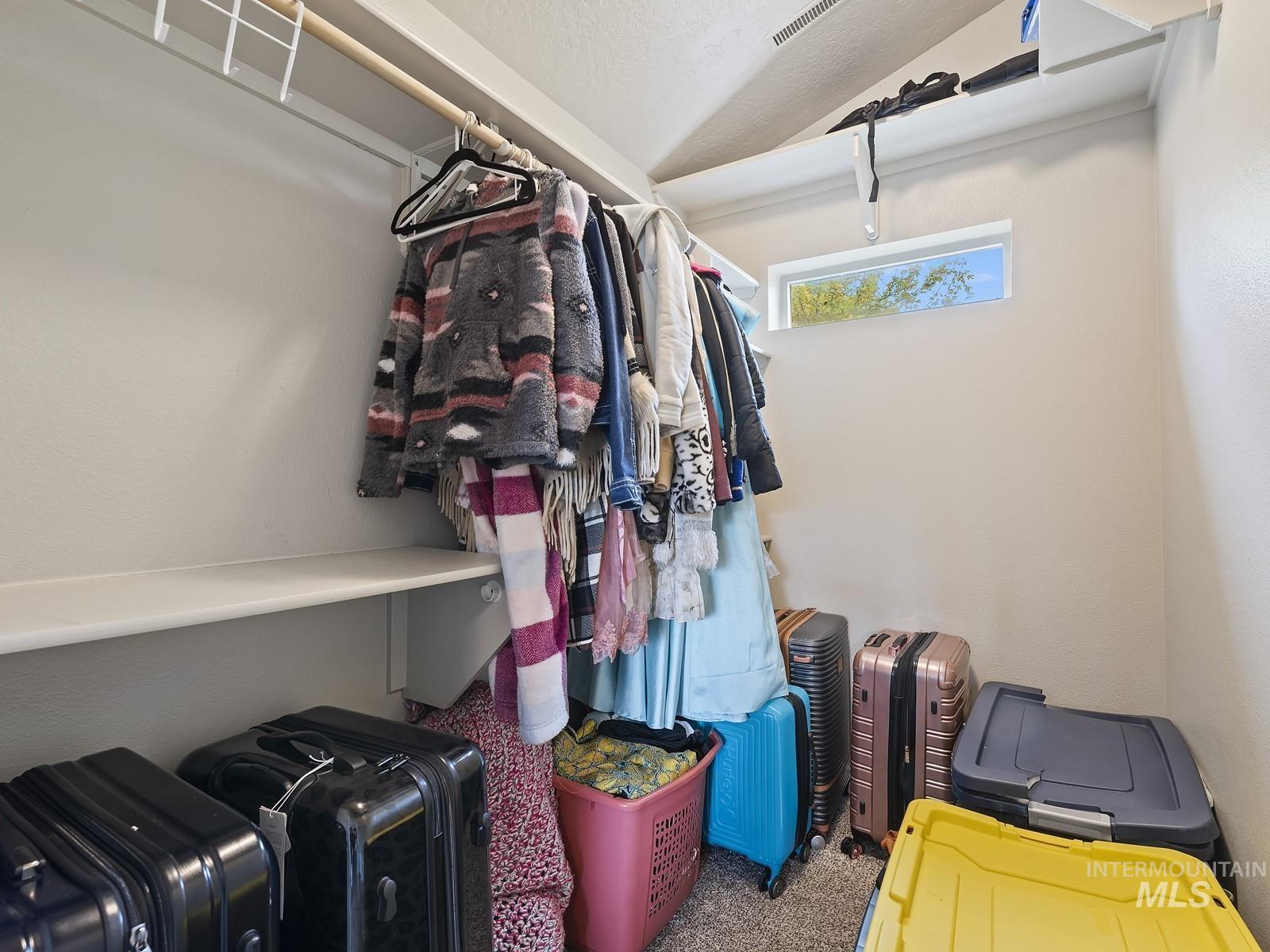 Spacious closet featuring carpet floors