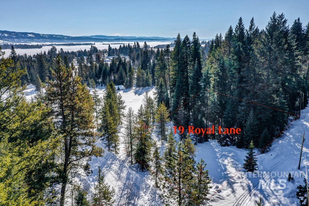 Snowy aerial view with a wooded view and a mountain view