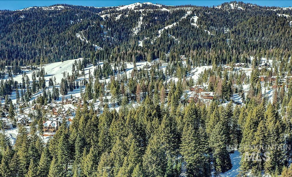 View of mountain backdrop with a forest