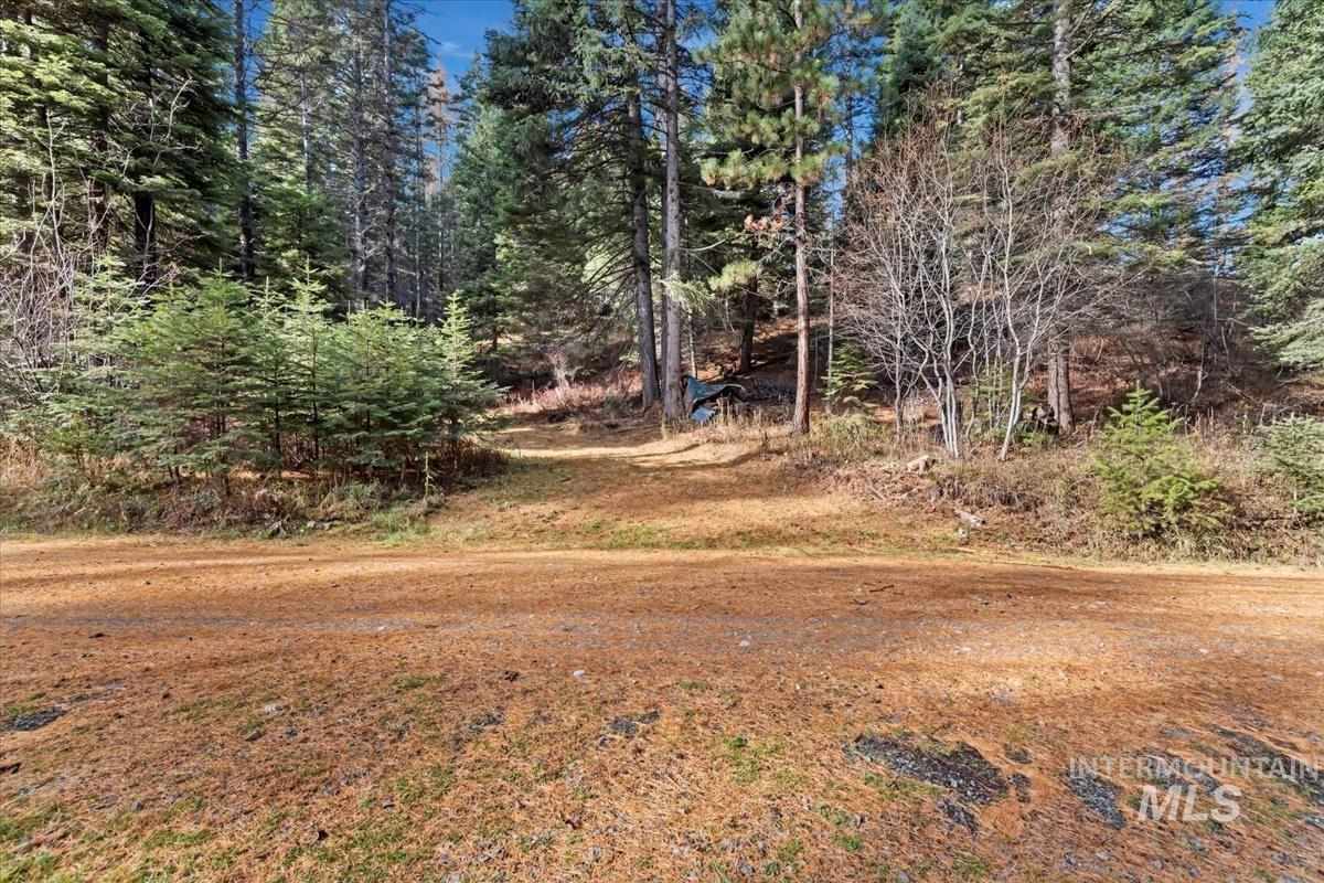 1715 Grouse Trail, Donnelly, Idaho image 5