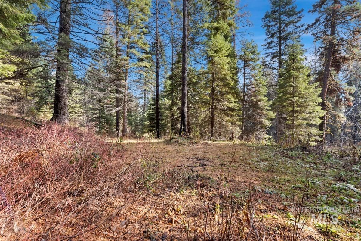 1715 Grouse Trail, Donnelly, Idaho image 10