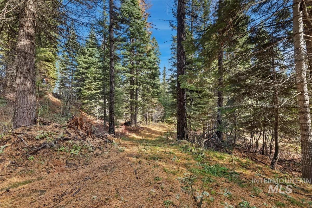 1715 Grouse Trail, Donnelly, Idaho image 9