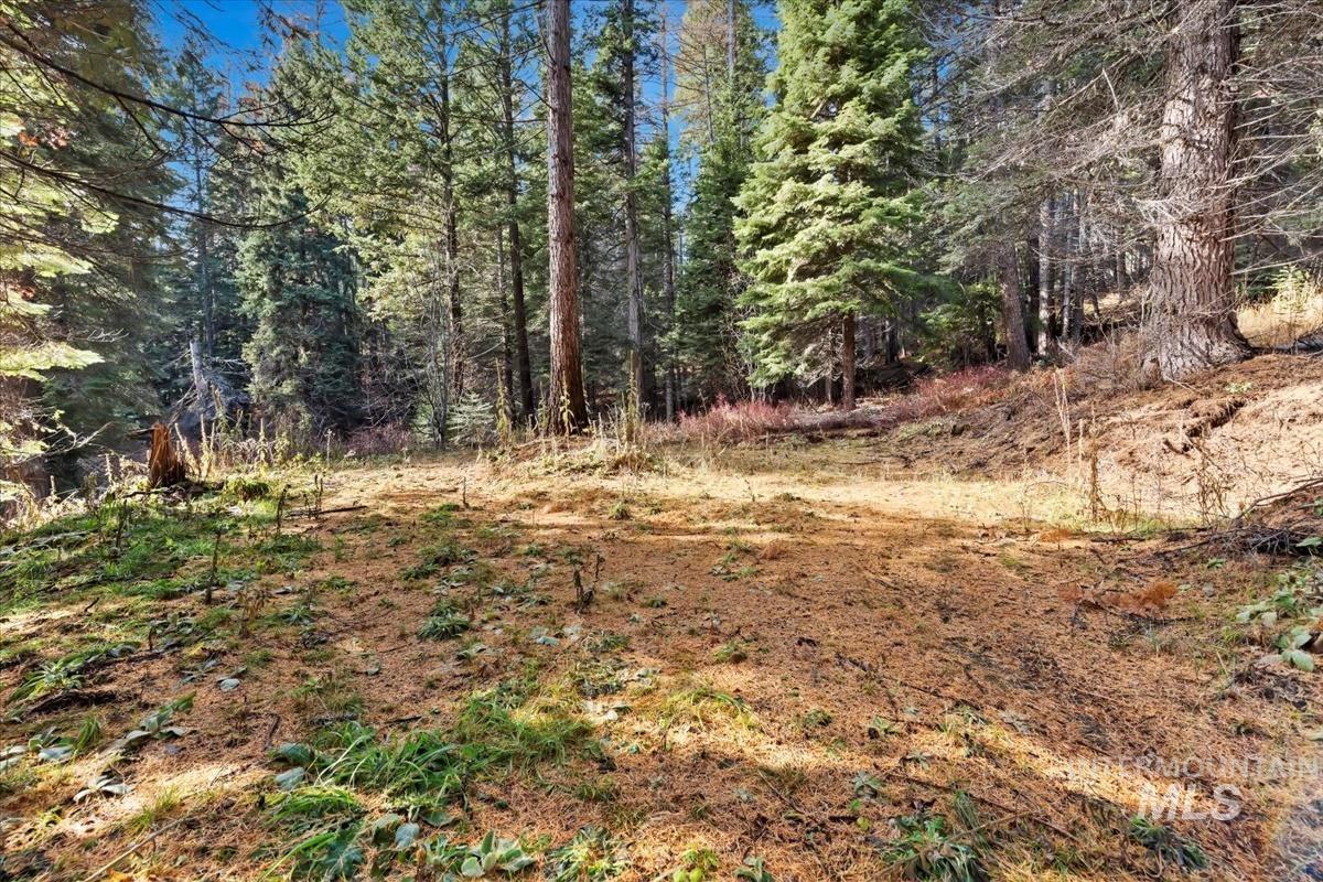 1715 Grouse Trail, Donnelly, Idaho image 3