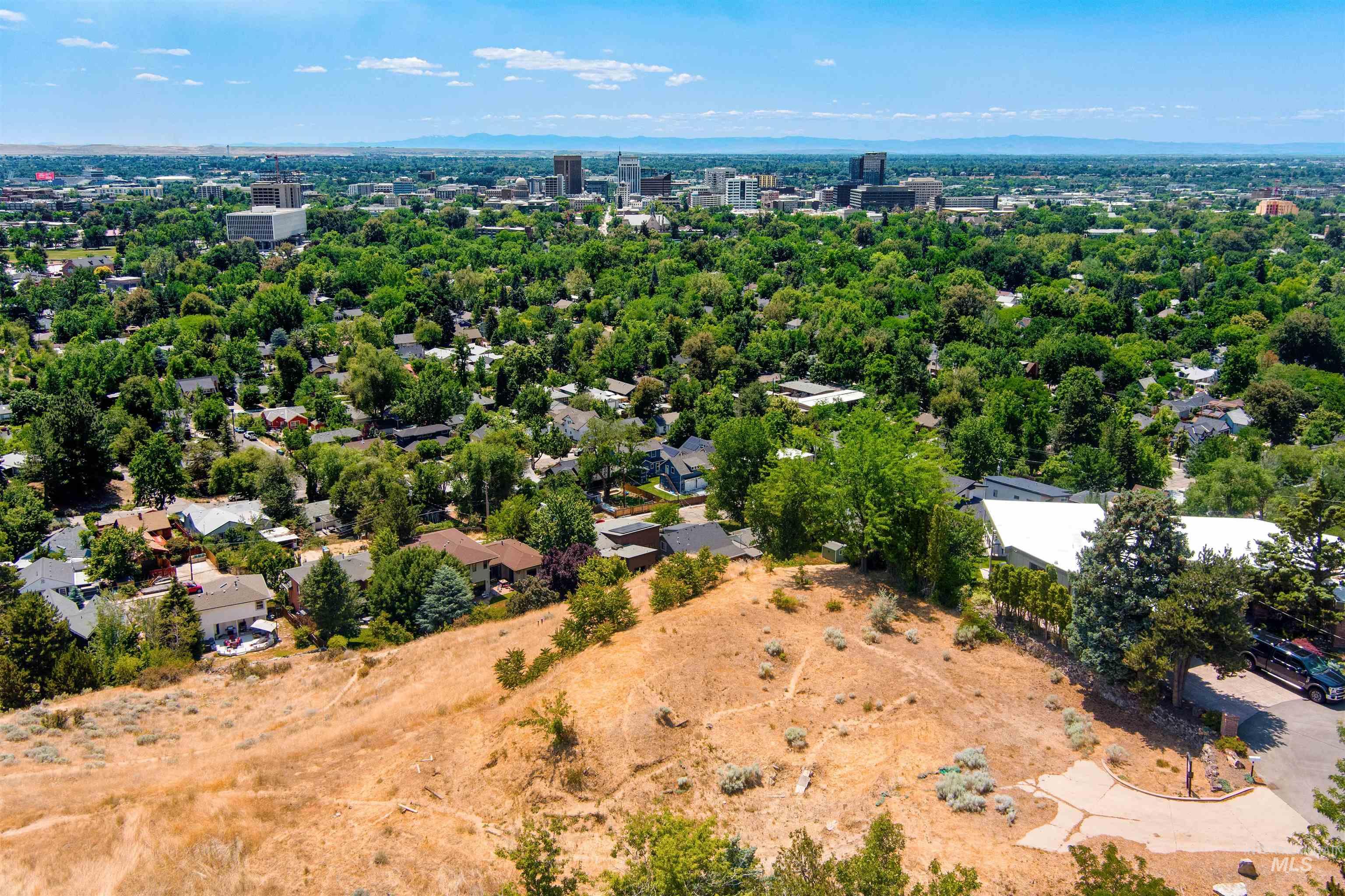 Drone / aerial view of a tree filled landscape