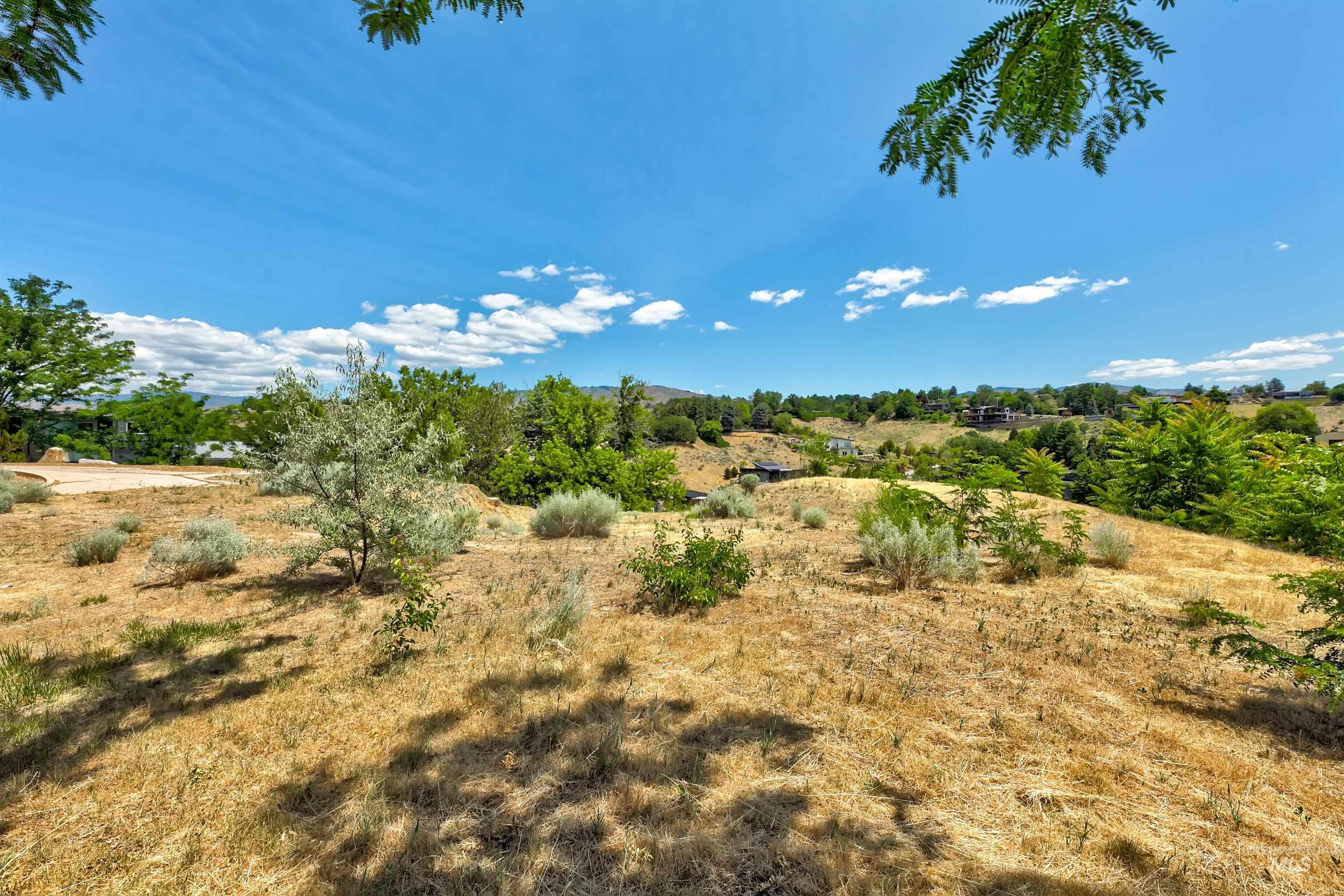 View of undeveloped land