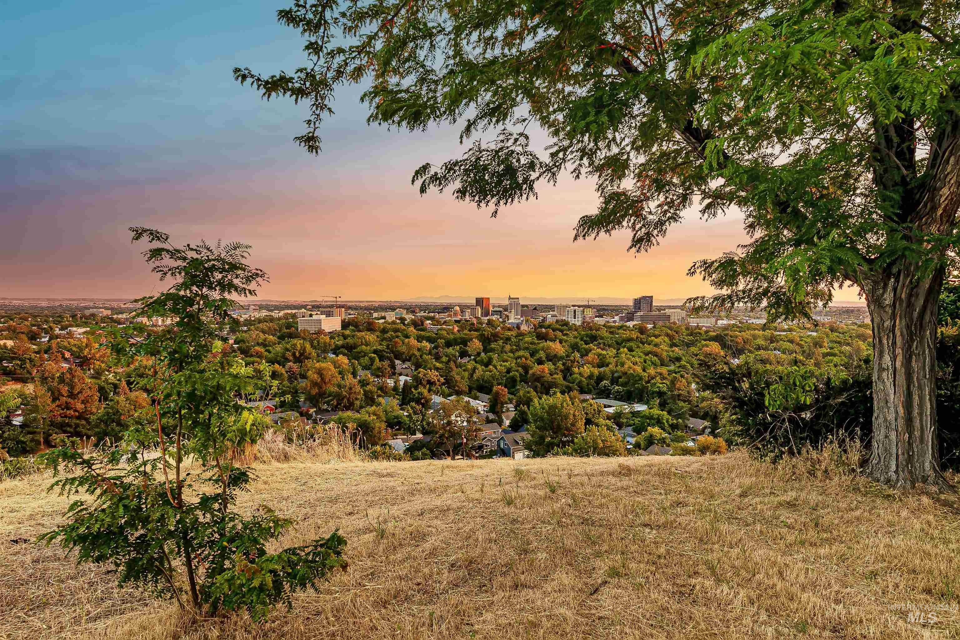 View of local wilderness