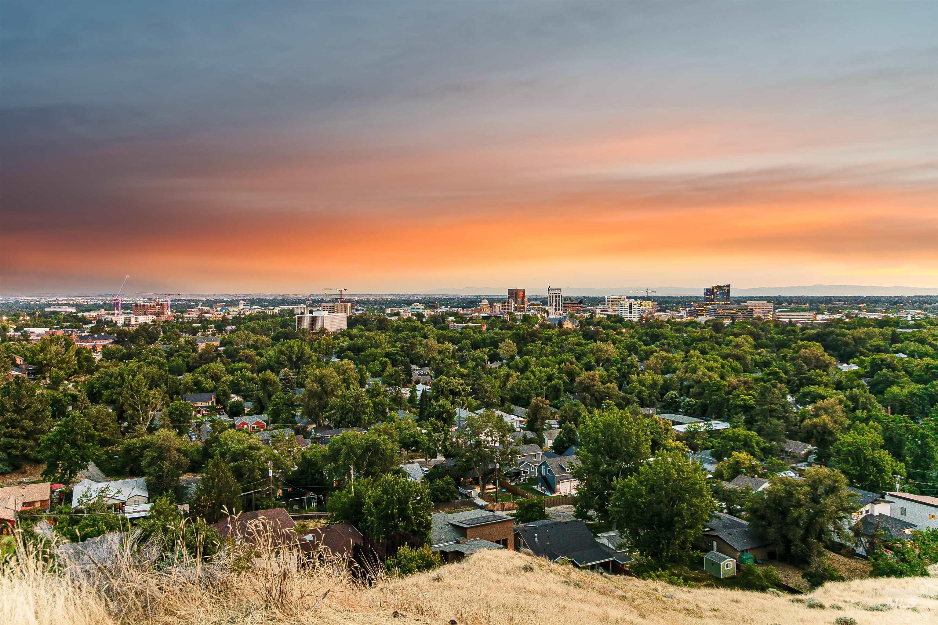 Aerial view of a tree filled landscape