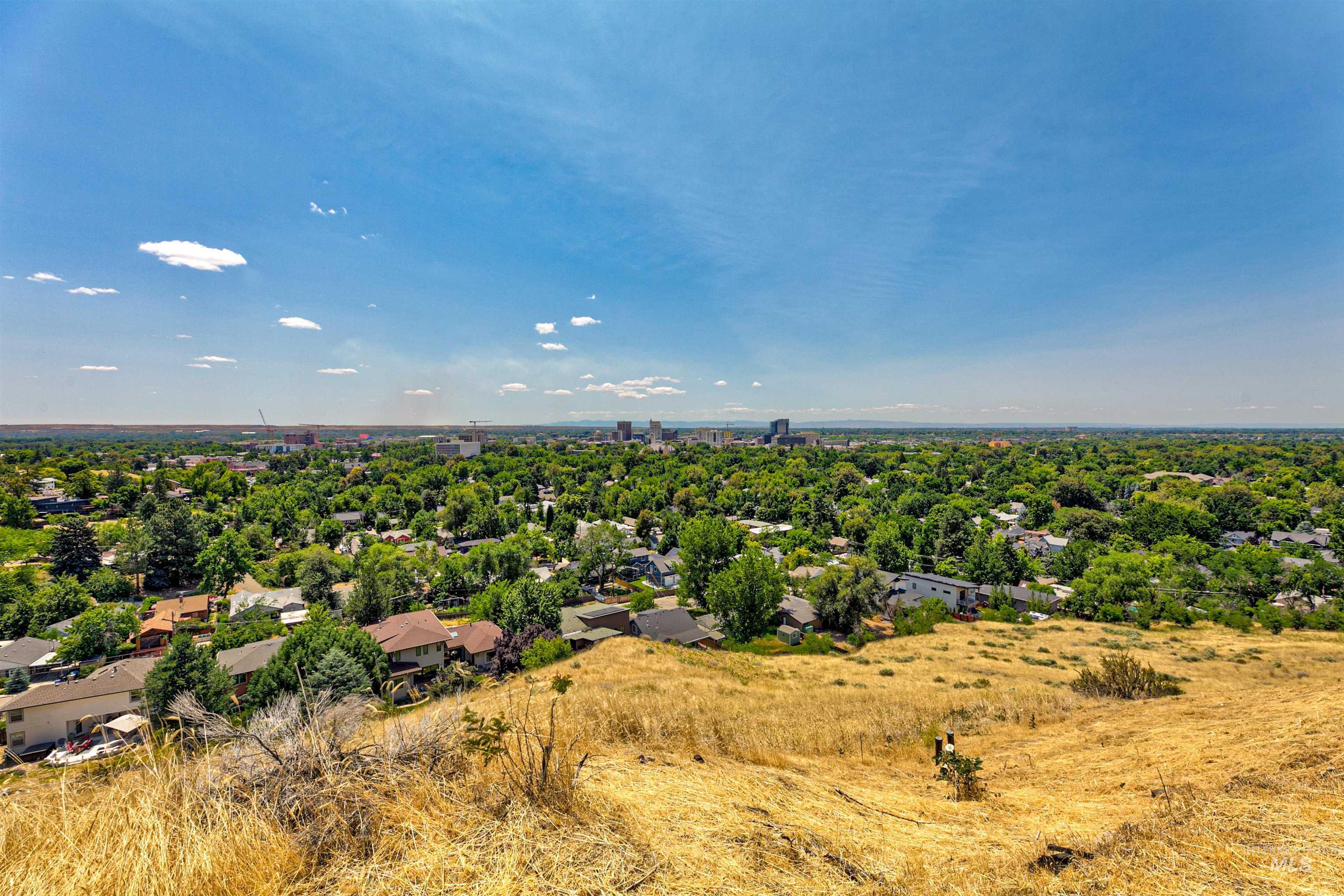 Aerial perspective of suburban area featuring a tree filled landscape