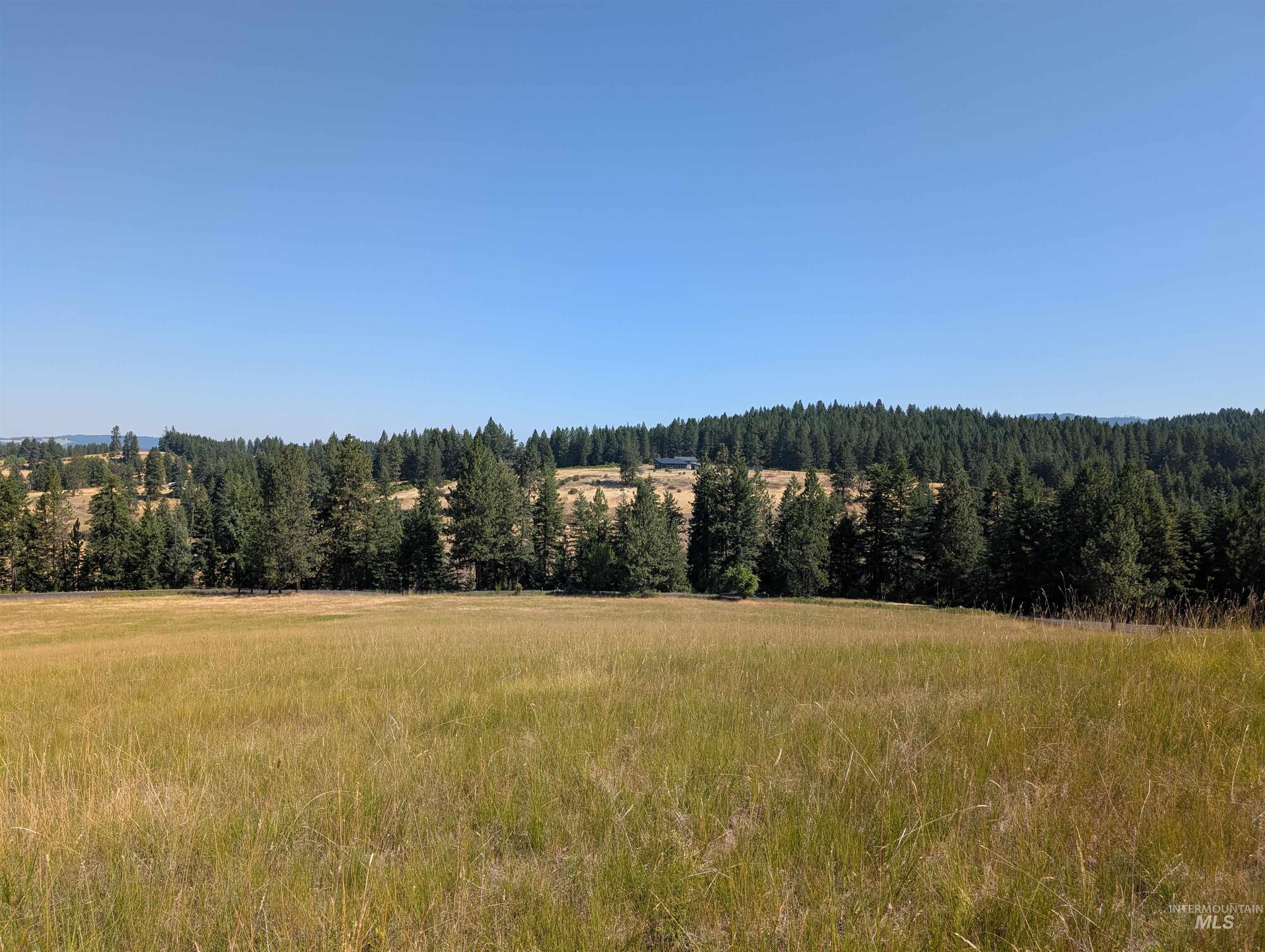 View of tree filled area featuring a rural view
