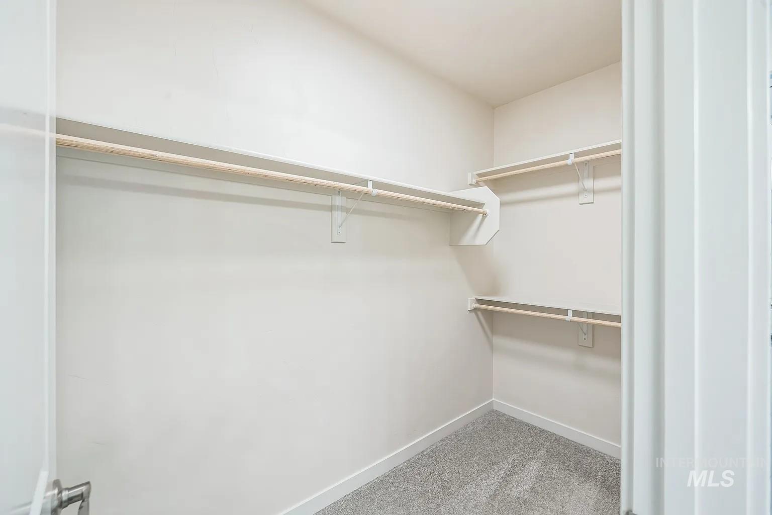 Walk-in closet featuring light grey carpet flooring, white walls, and built-in shelving with hanging rods