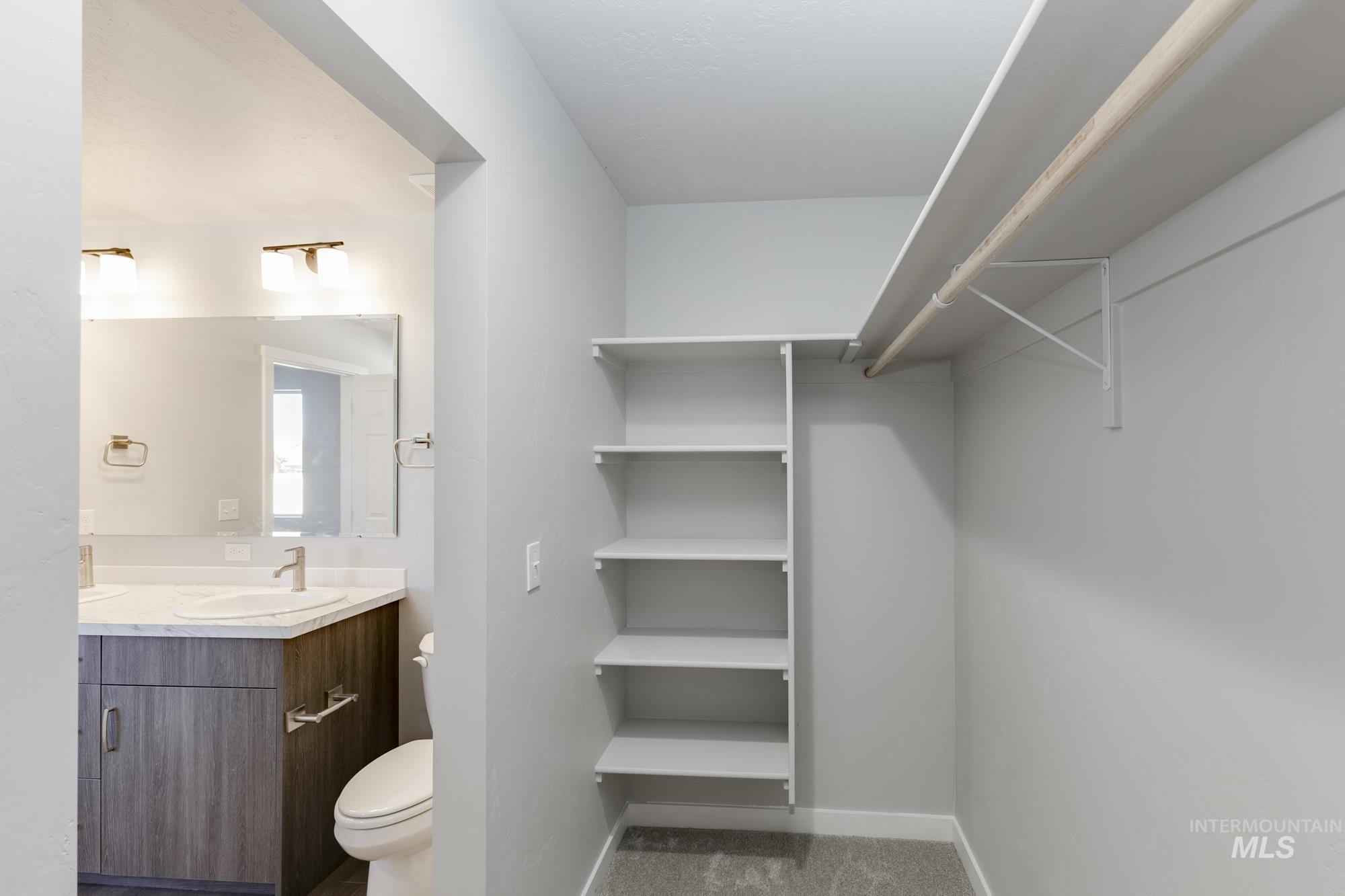 Spacious closet with a sink