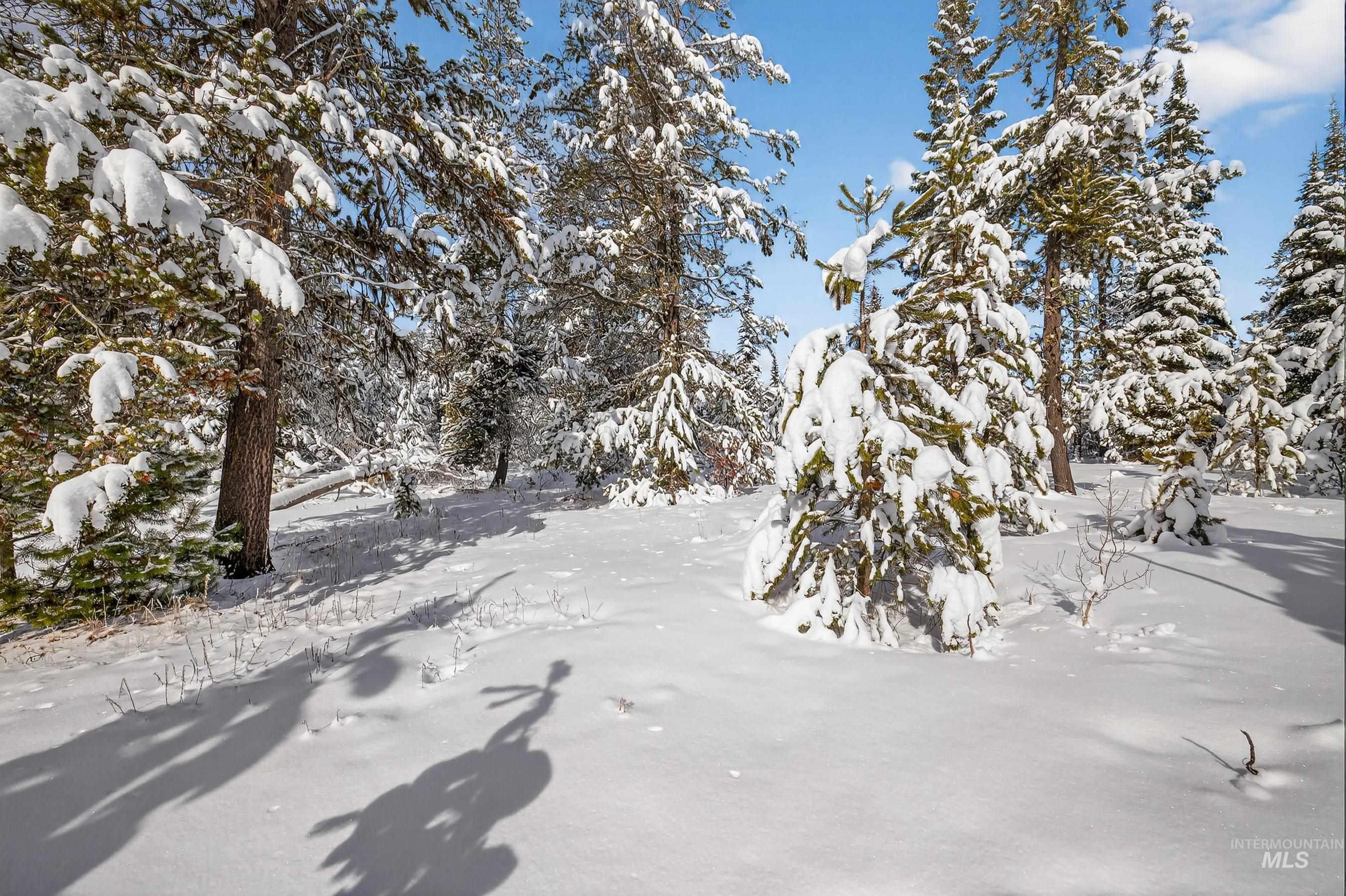View of yard covered in snow