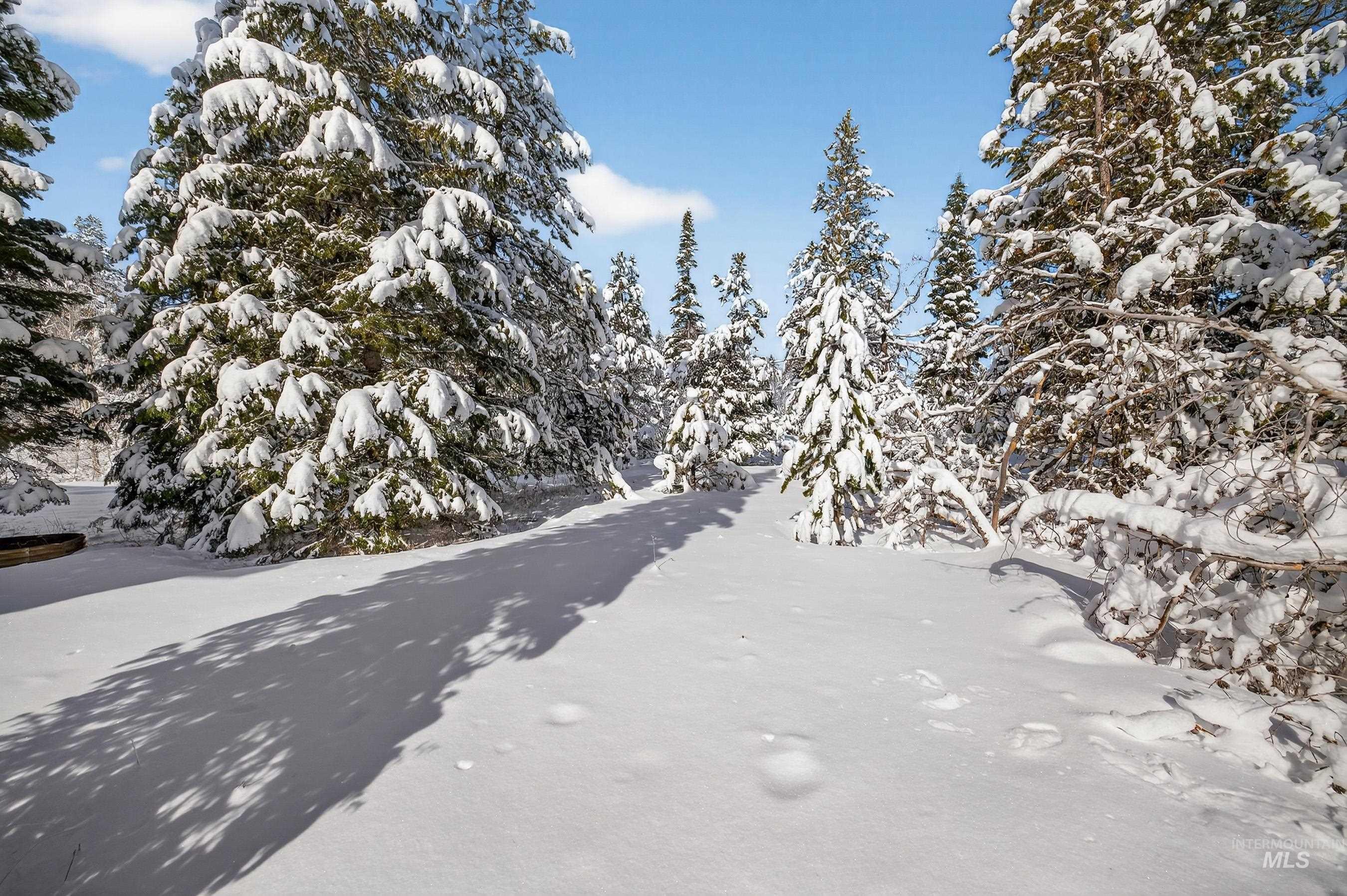 View of asphalt road