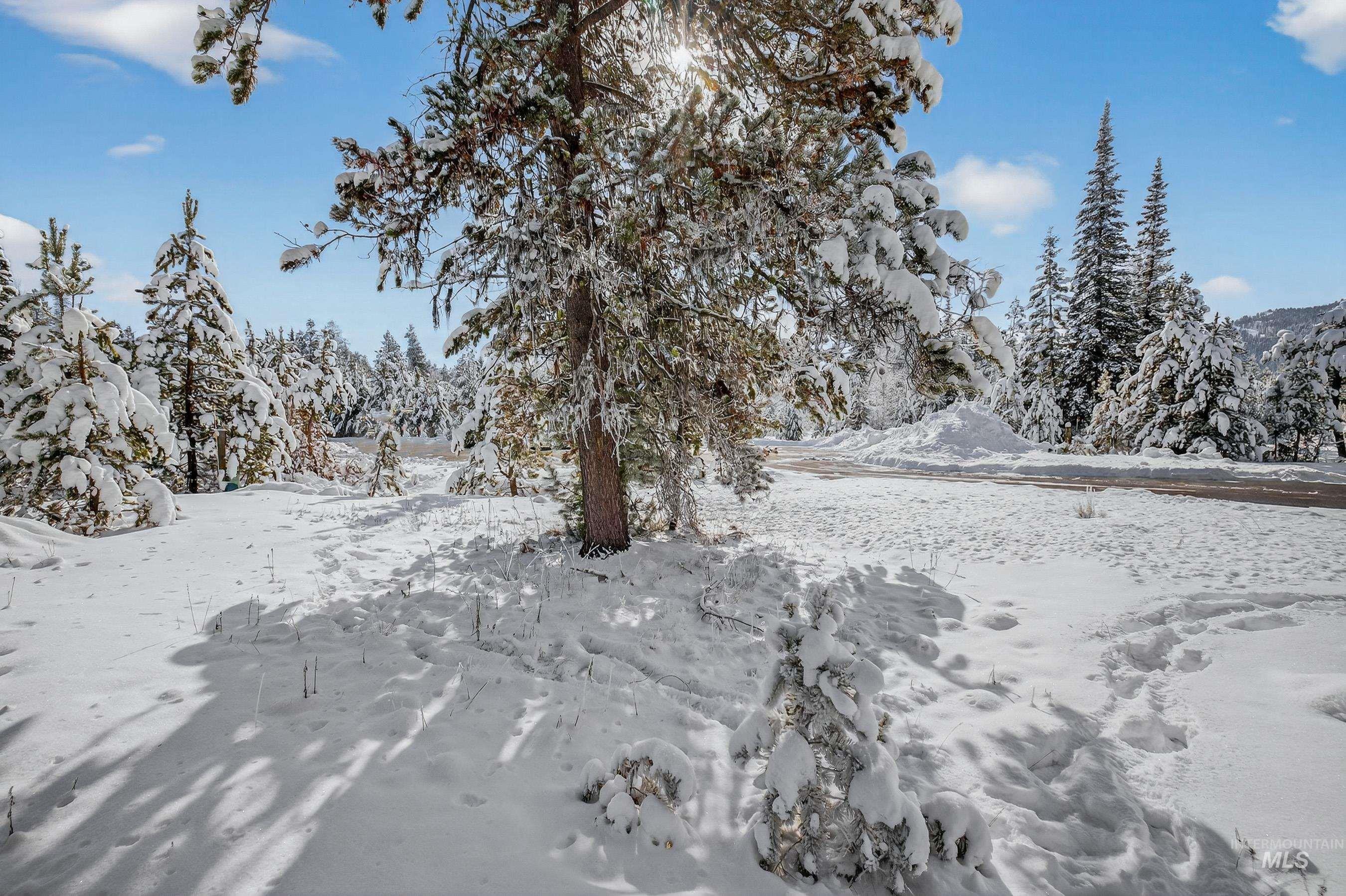 View of yard covered in snow