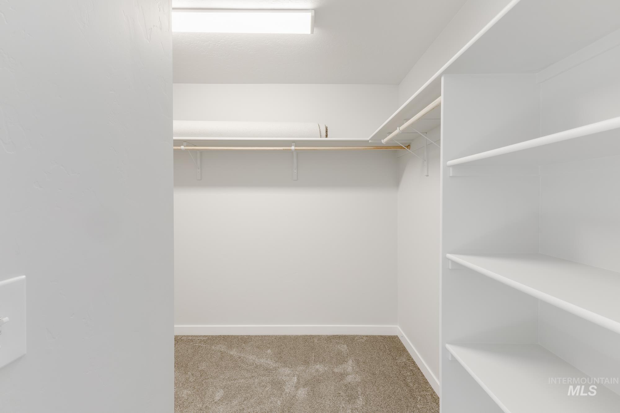 Walk in closet featuring light carpet