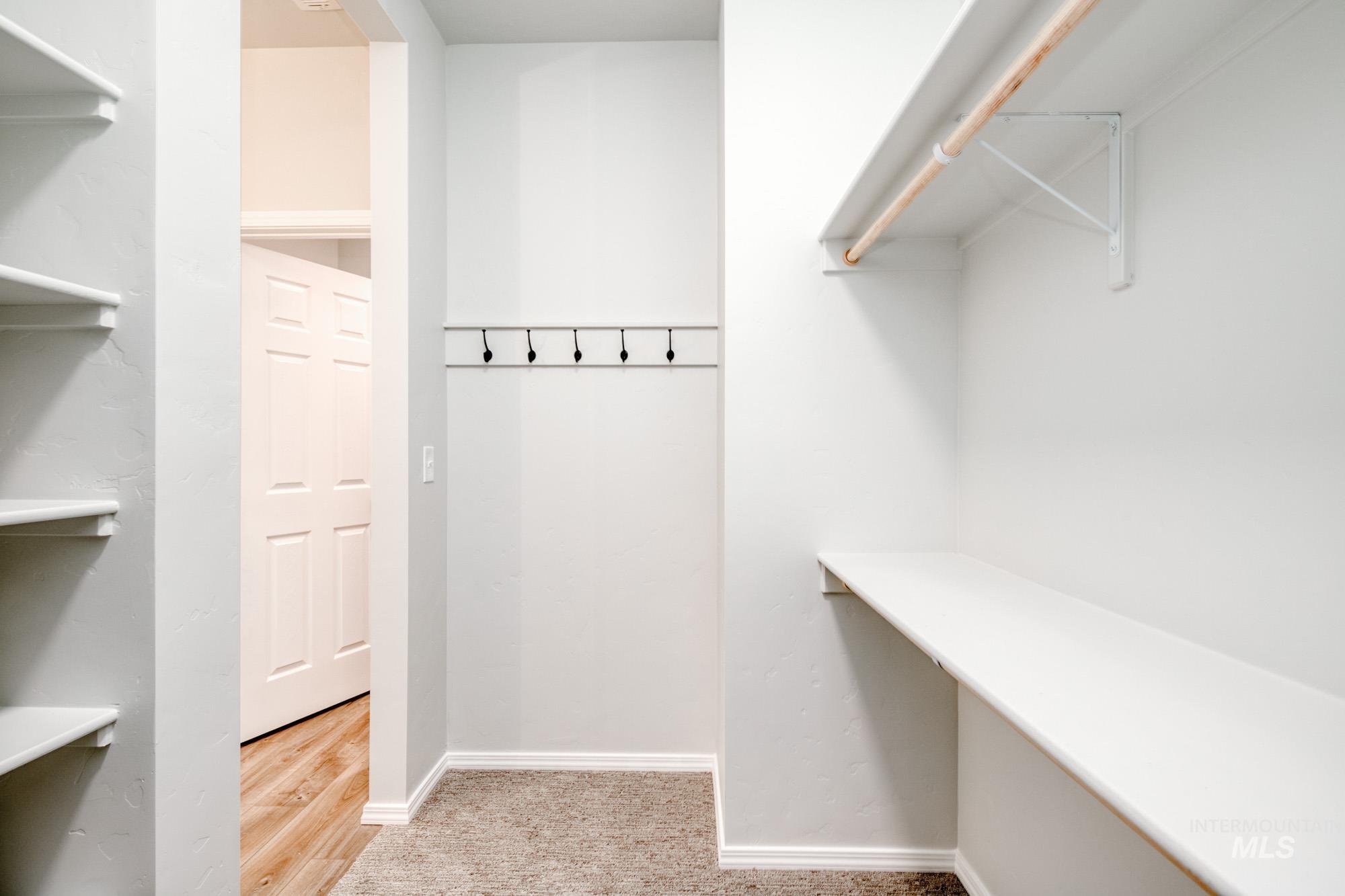 Spacious closet featuring light wood finished floors