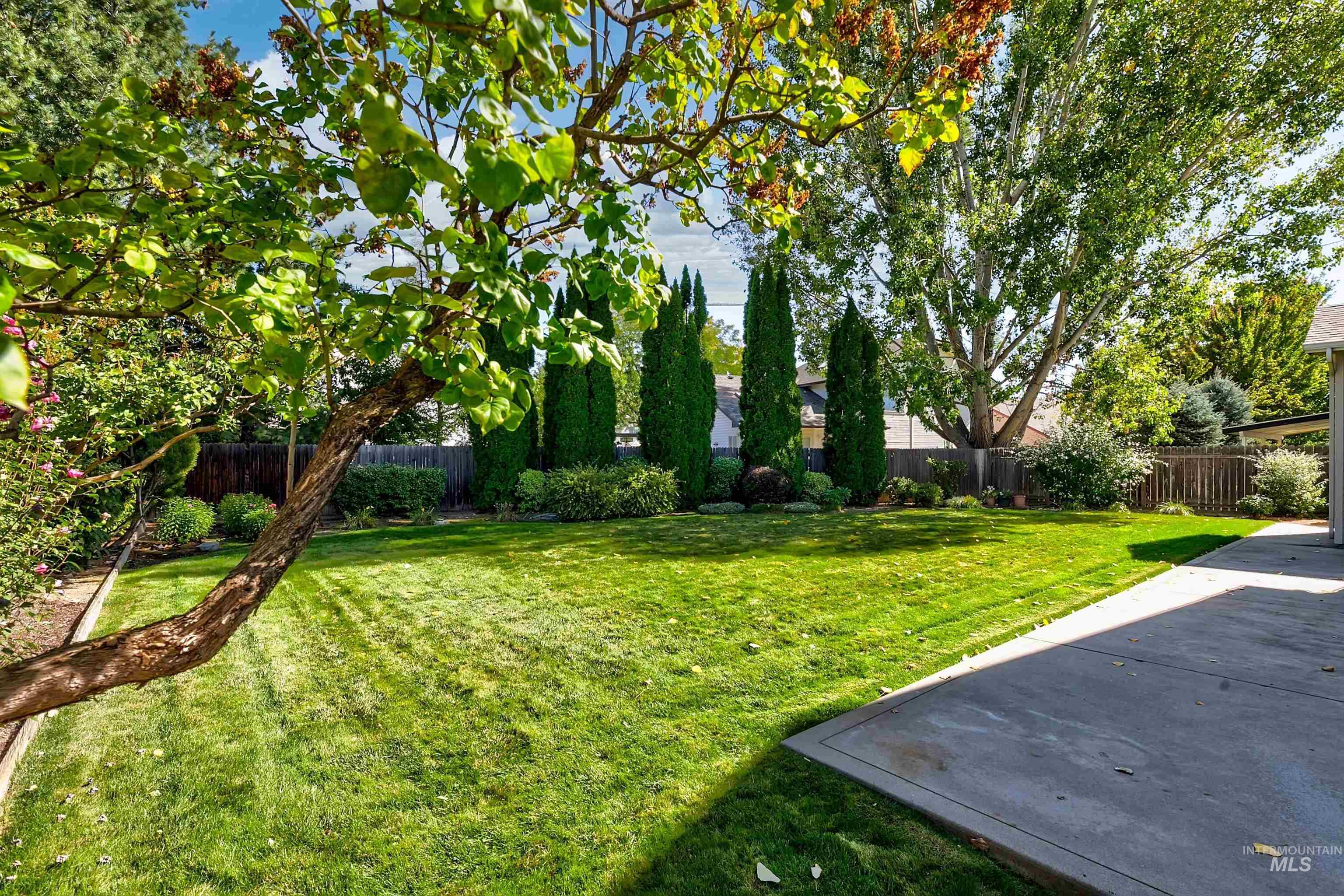View of fenced backyard