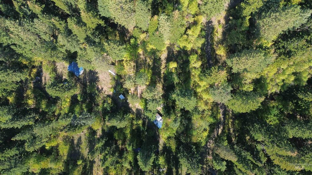 Photo of 1893 Tom Ho Rd, Orofino, ID 83544 (MLS # 98964455)
