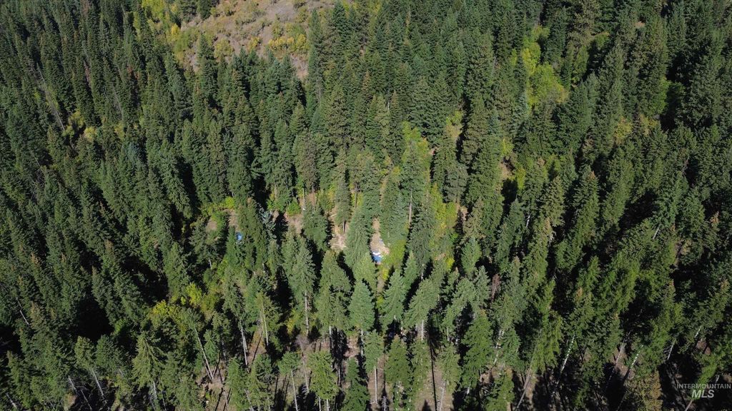 Photo of 1893 Tom Ho Rd, Orofino, ID 83544 (MLS # 98964455)