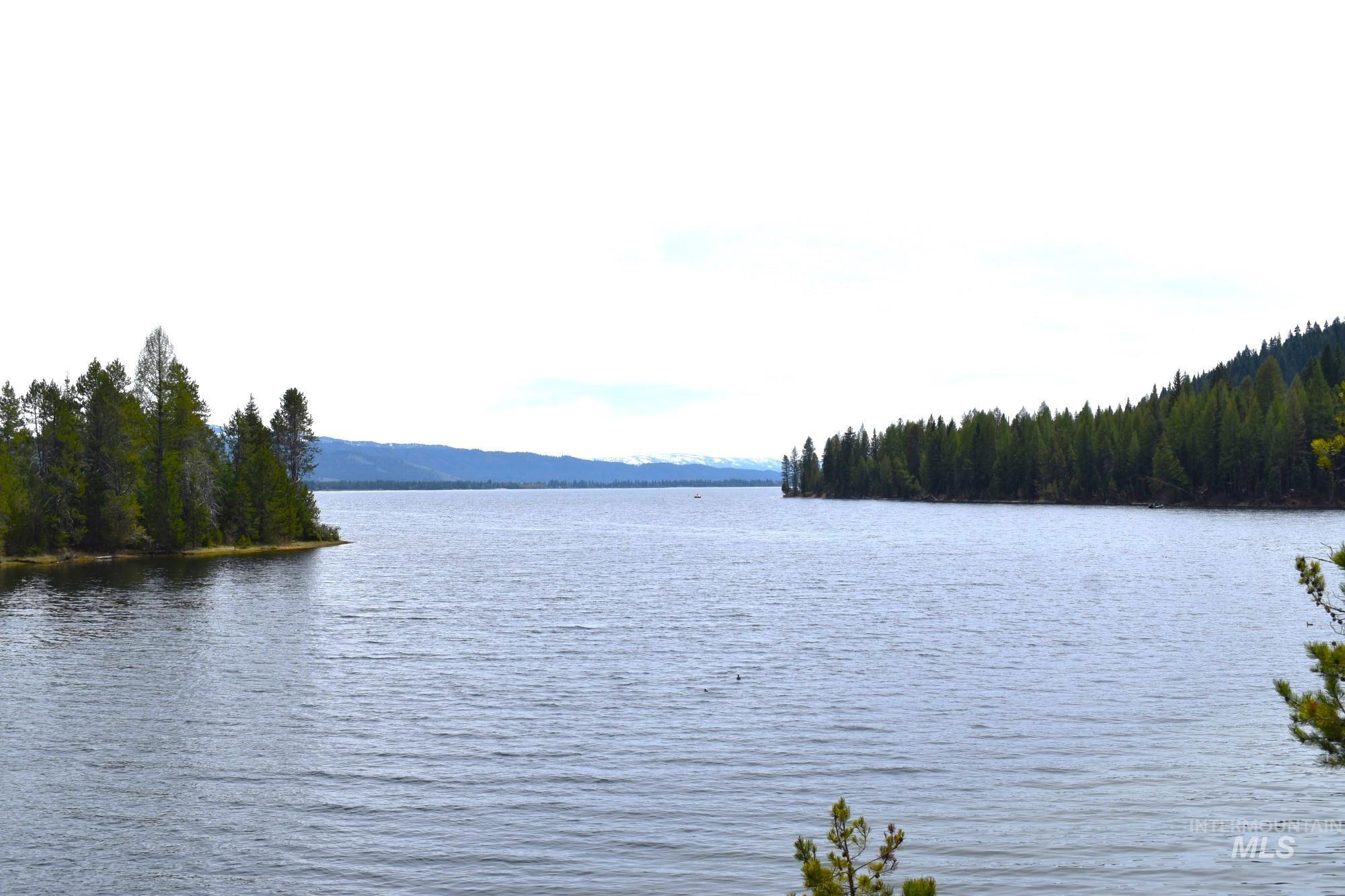 Expansive lakefront setting with mature evergreen trees bordering the serene water