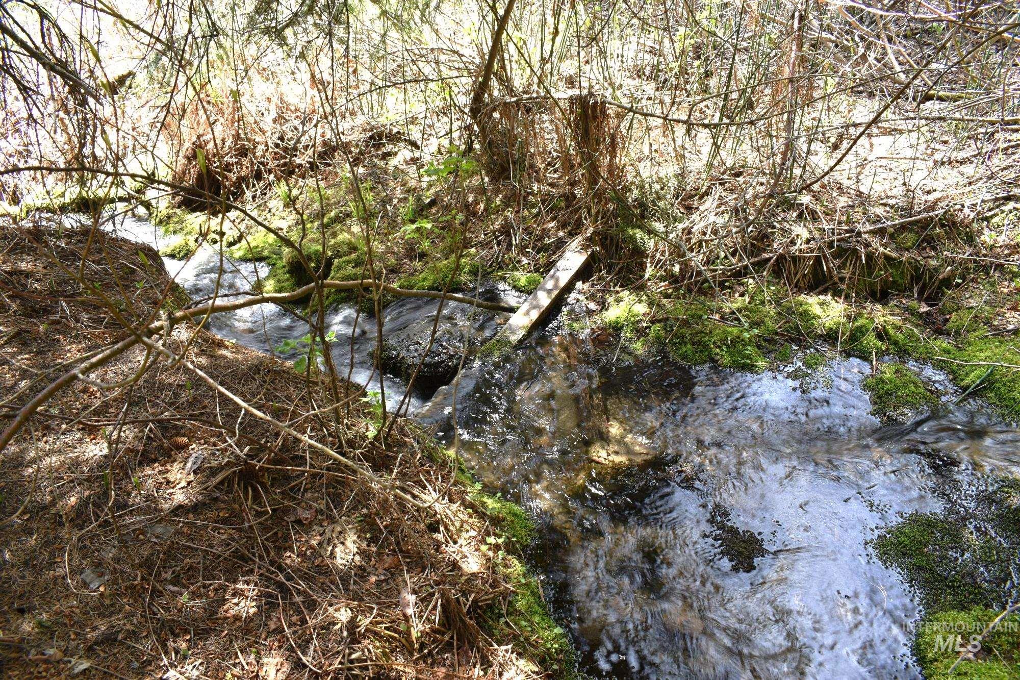Natural water feature with flowing water, bordered by moss-covered ground and natural vegetation