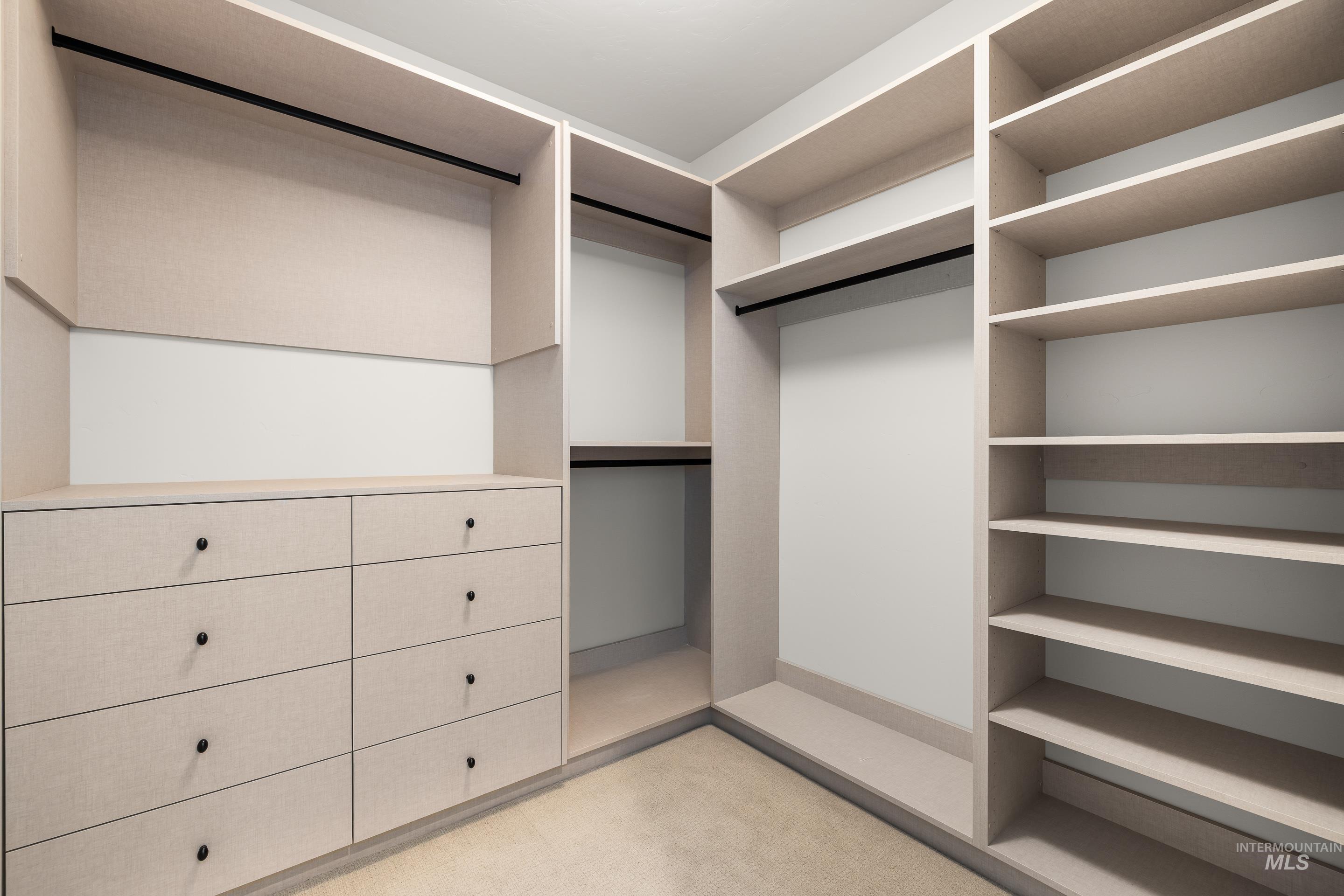 Walk in closet with light carpet